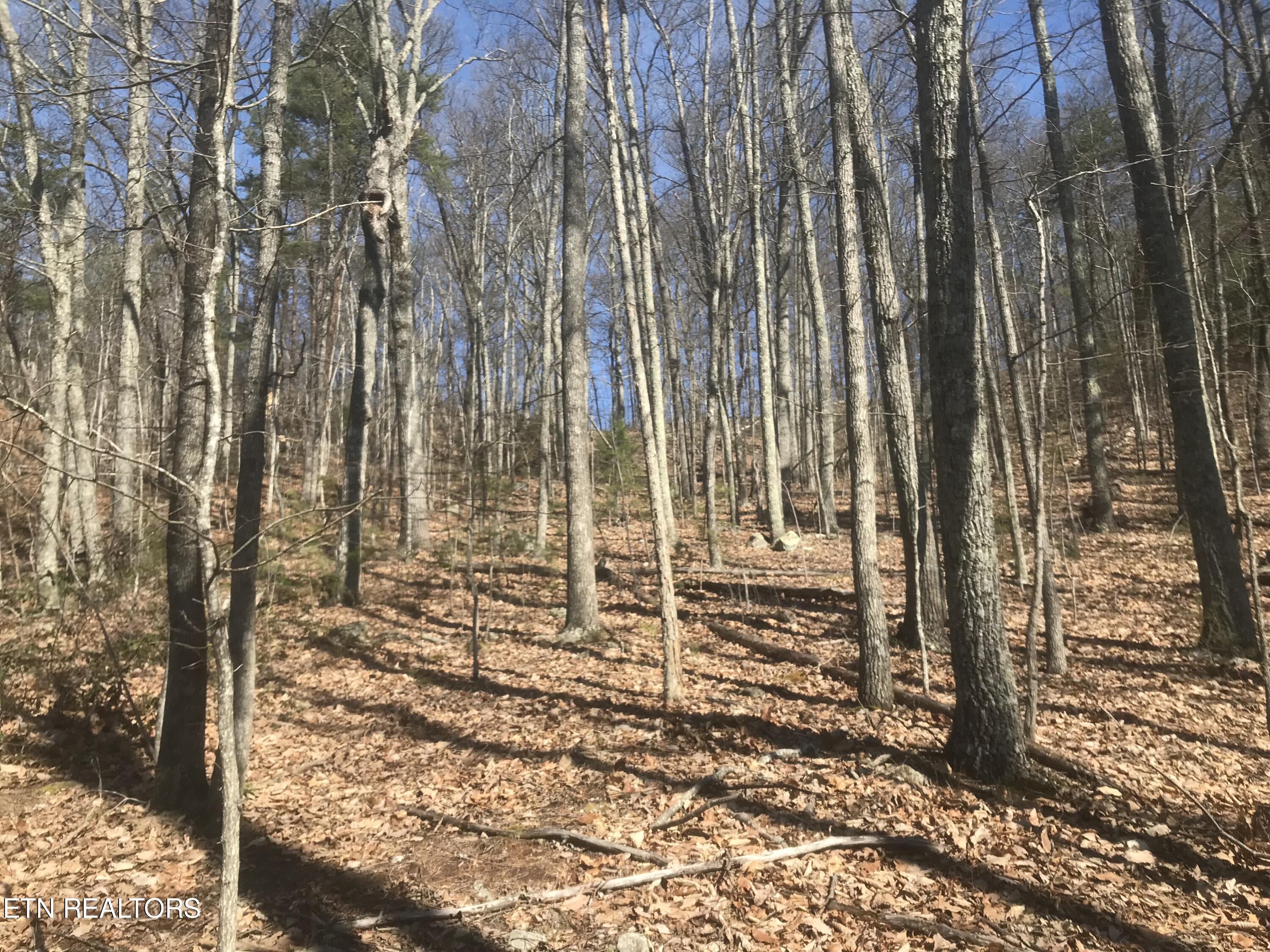 4109 Pearl Valley Rd