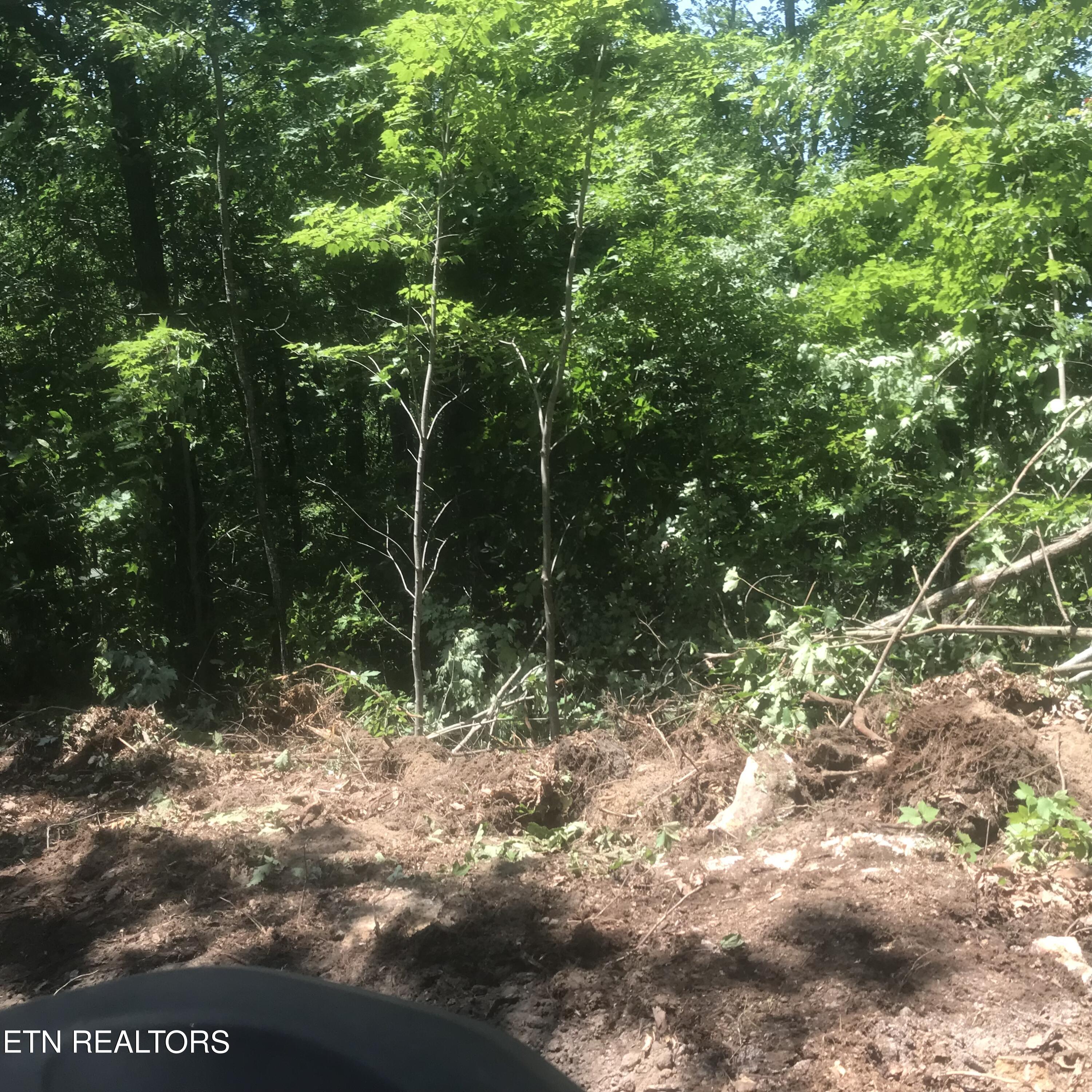 4109 Pearl Valley Rd