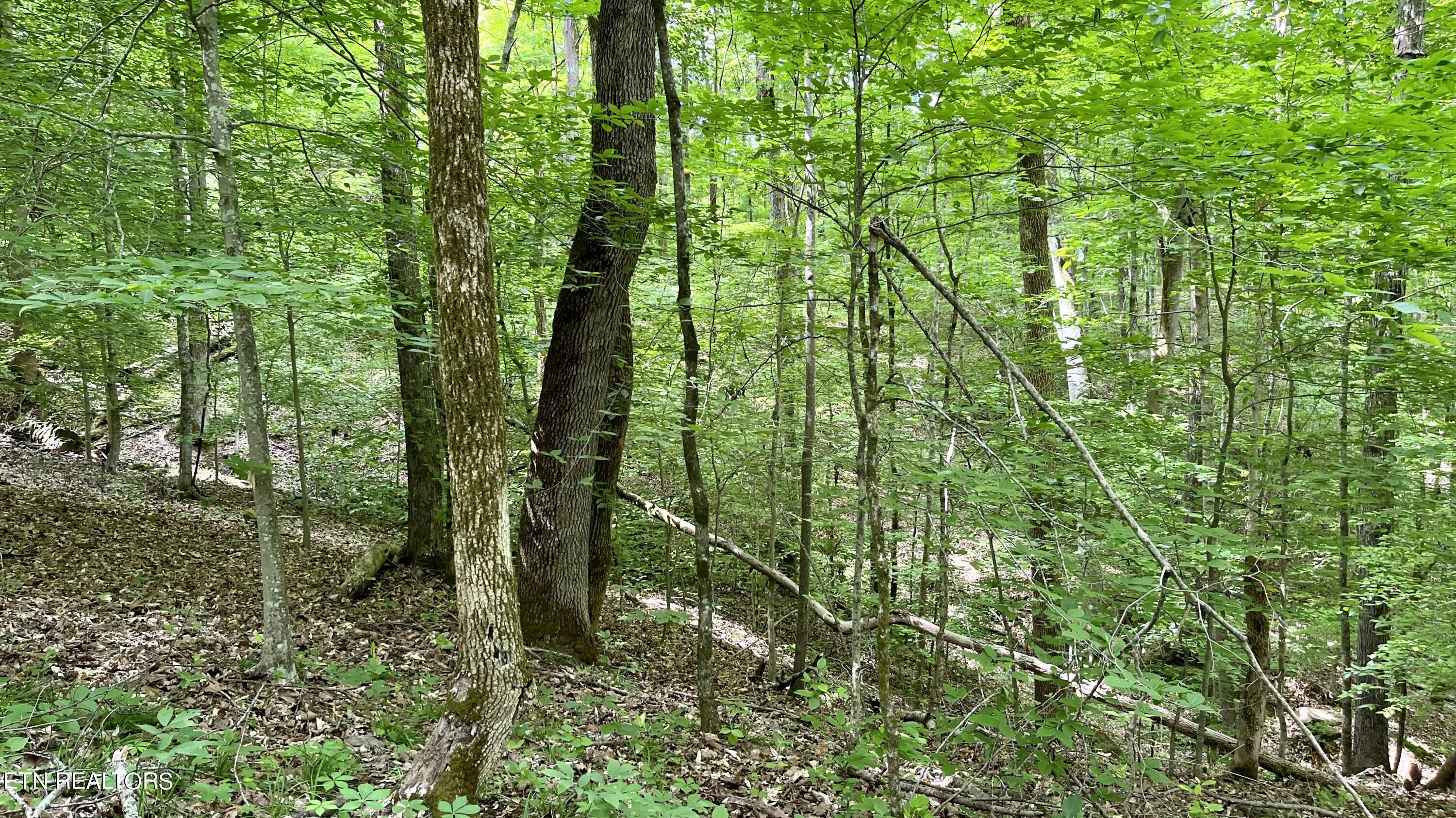 4109 Pearl Valley Rd