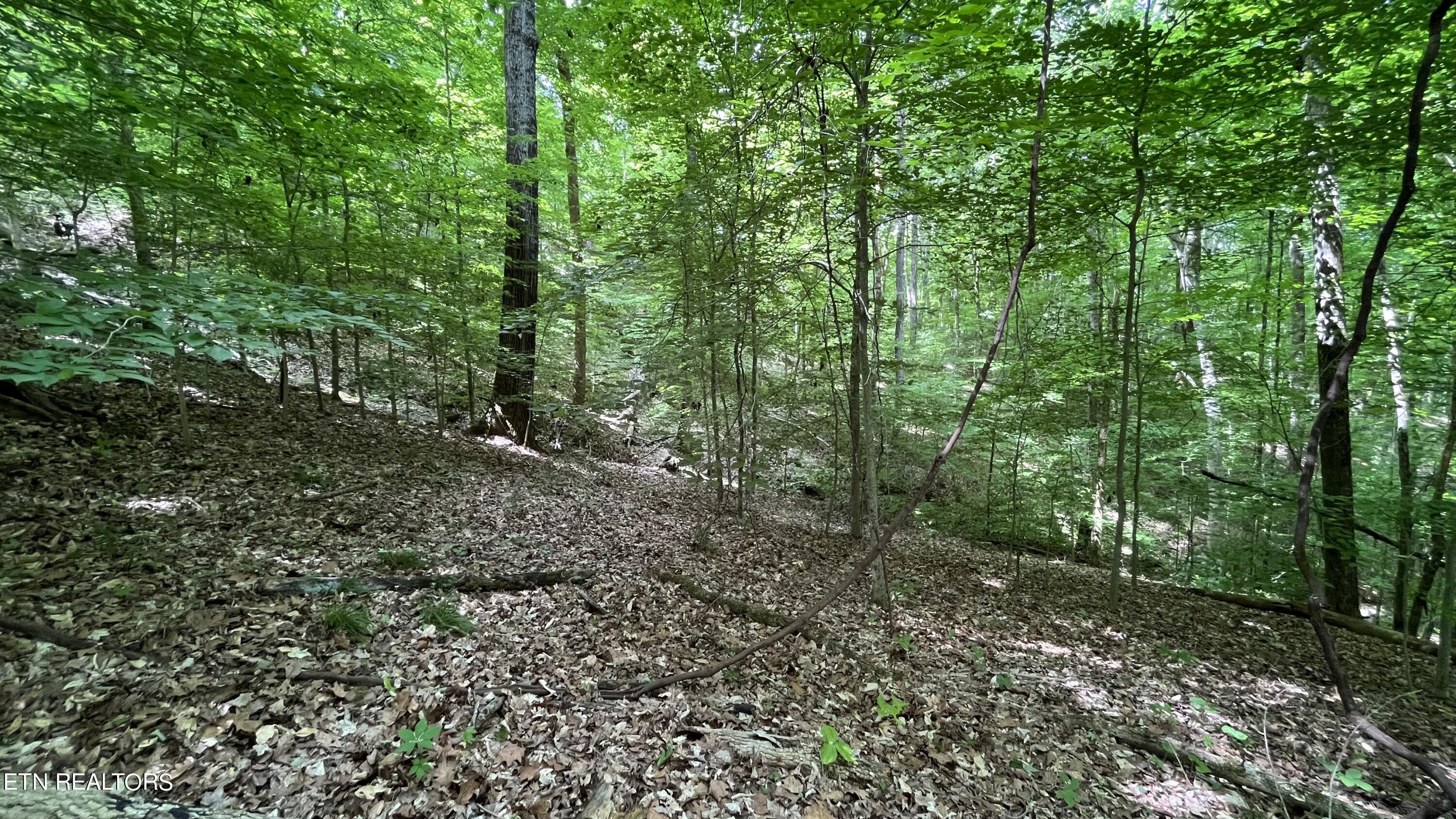 4109 Pearl Valley Rd