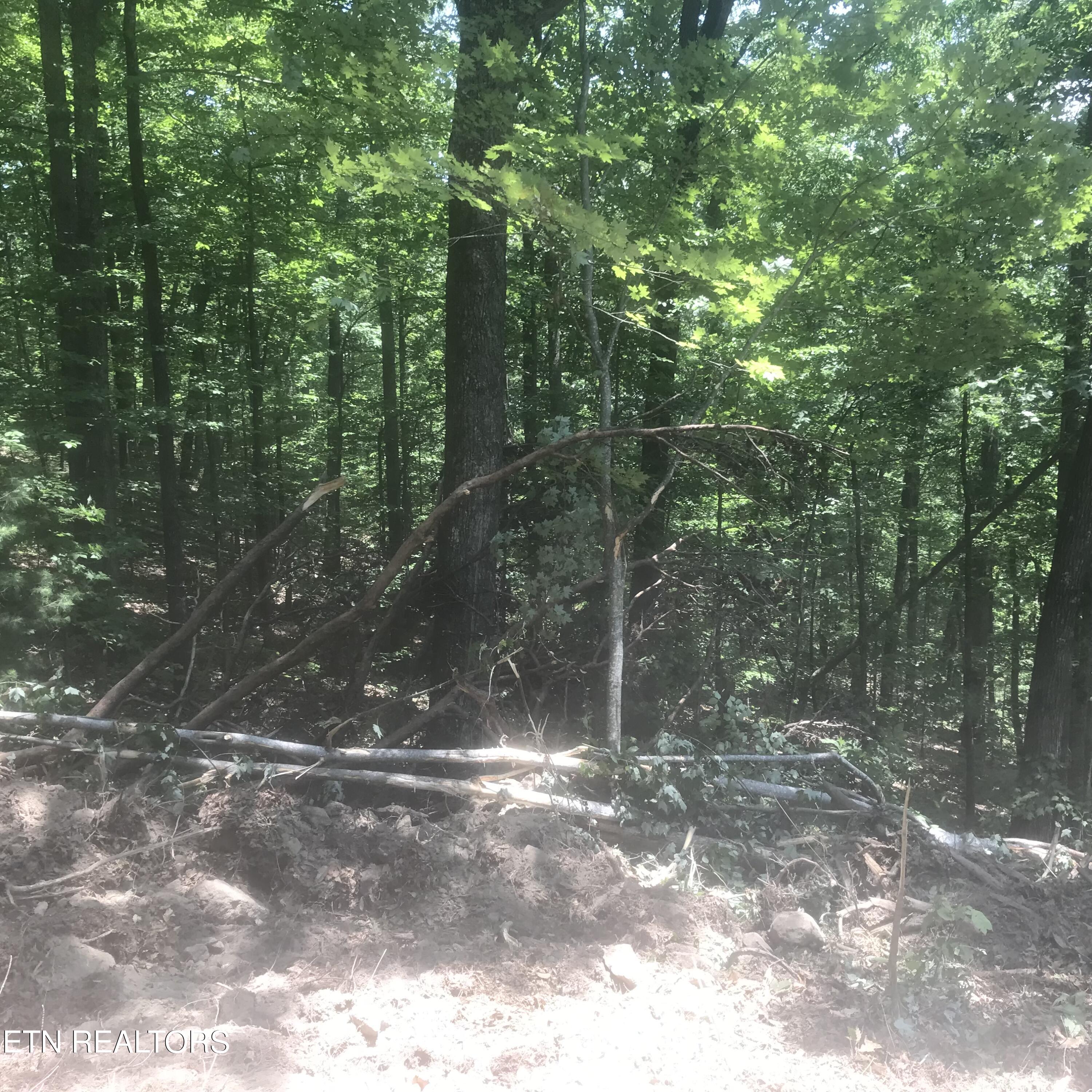 4109 Pearl Valley Rd