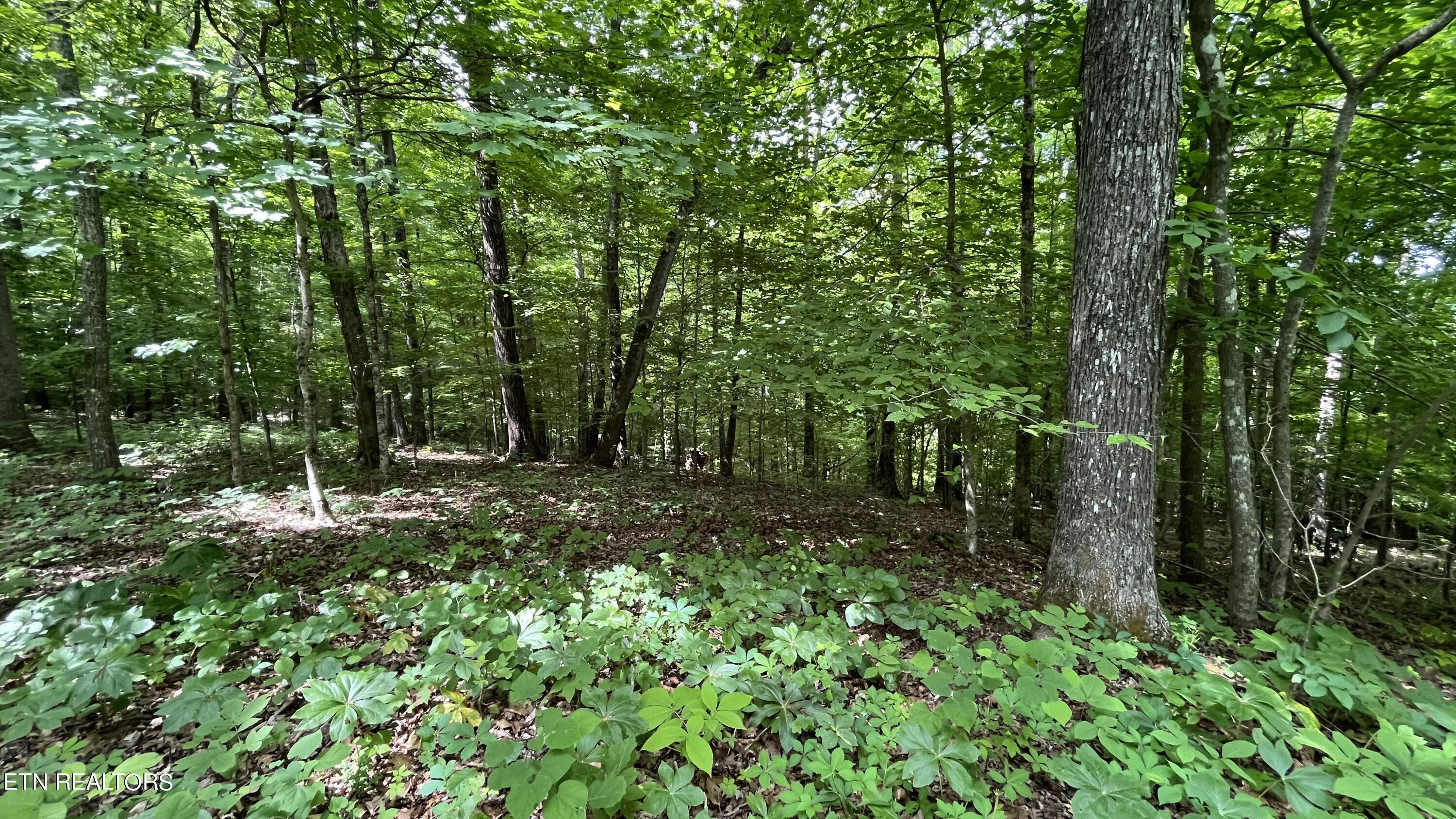 4109 Pearl Valley Rd