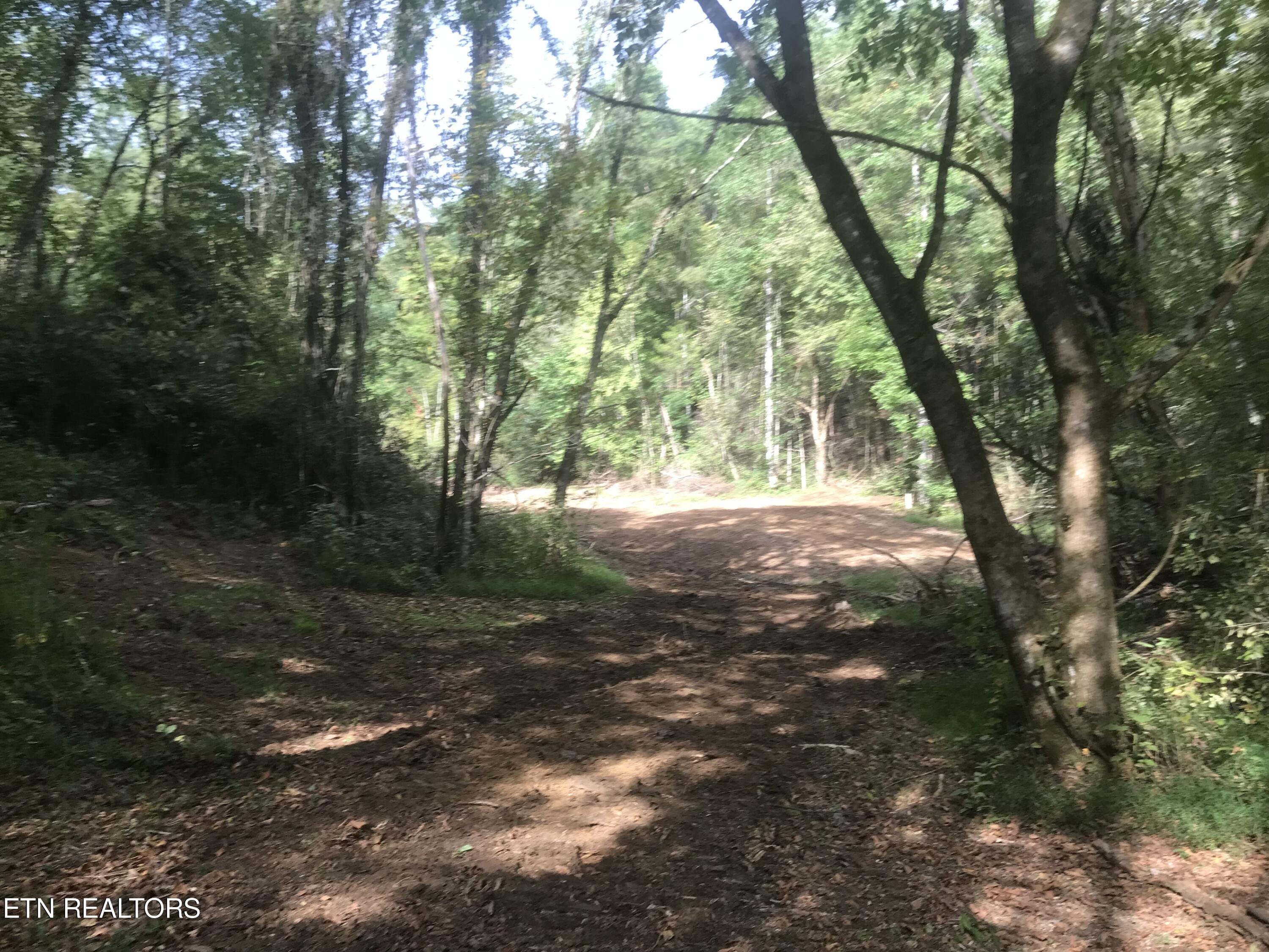 4109 Pearl Valley Rd