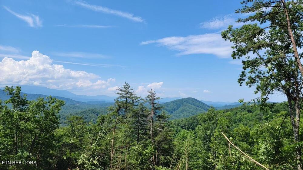 4109 Pearl Valley Rd