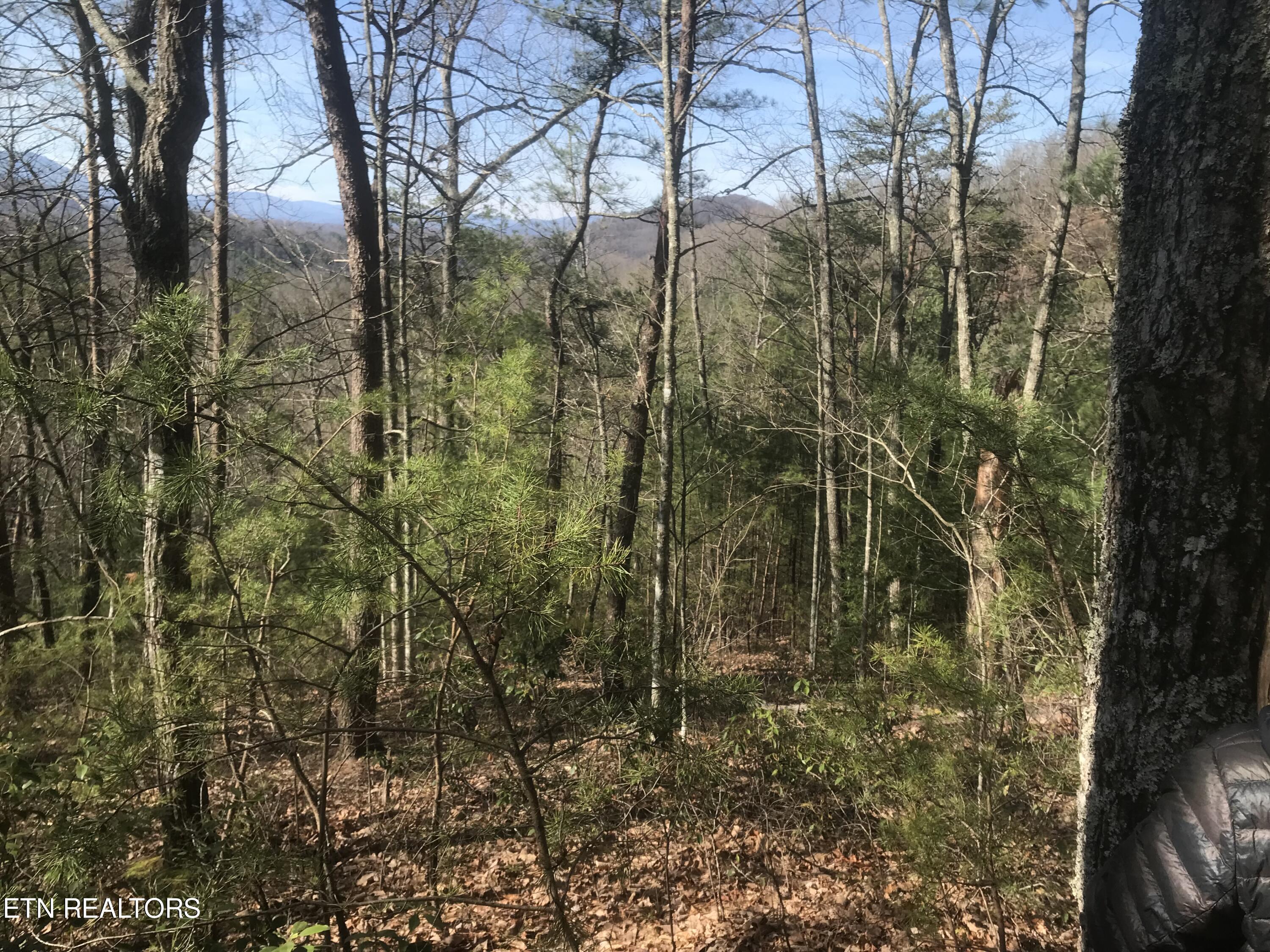 4109 Pearl Valley Rd