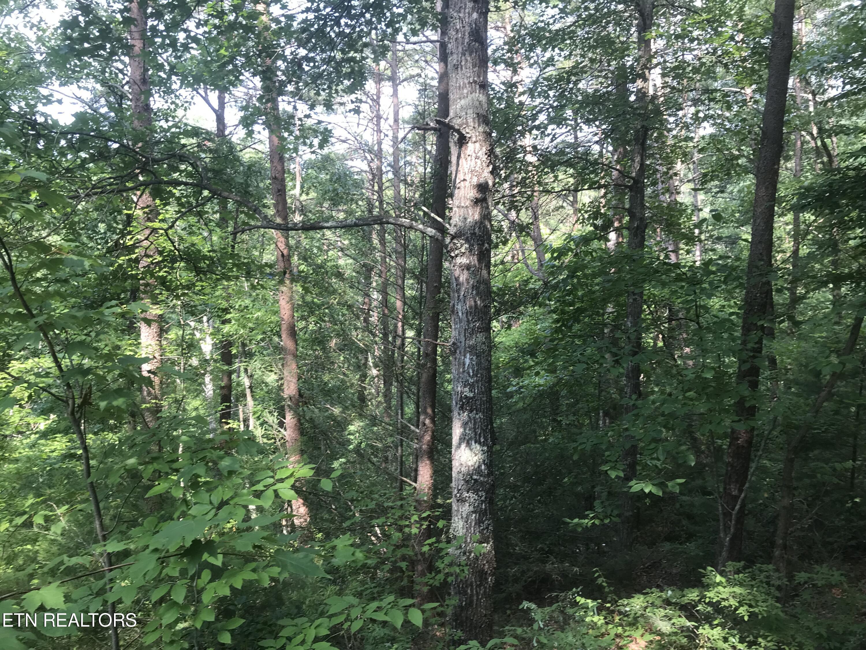 4109 Pearl Valley Rd