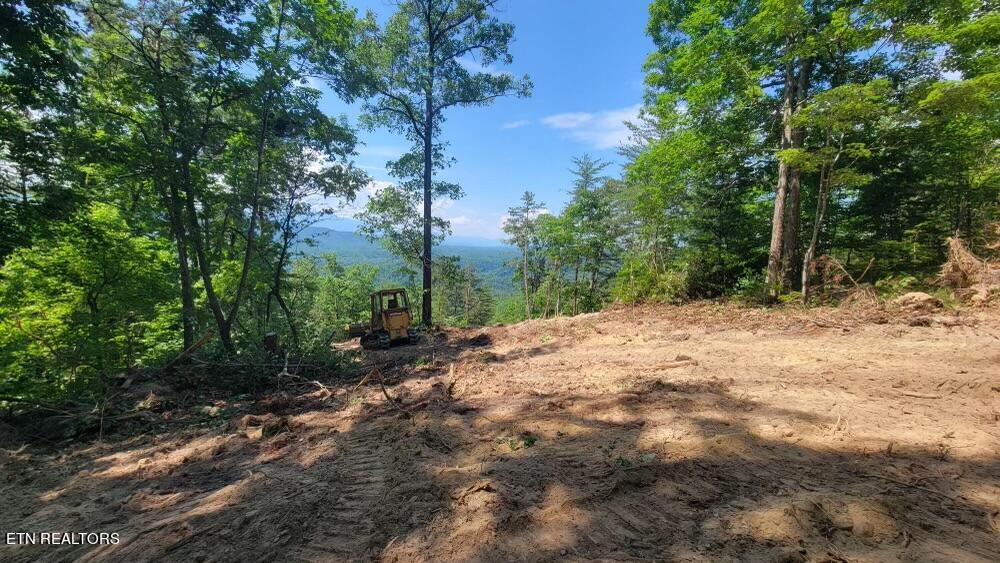 4109 Pearl Valley Rd