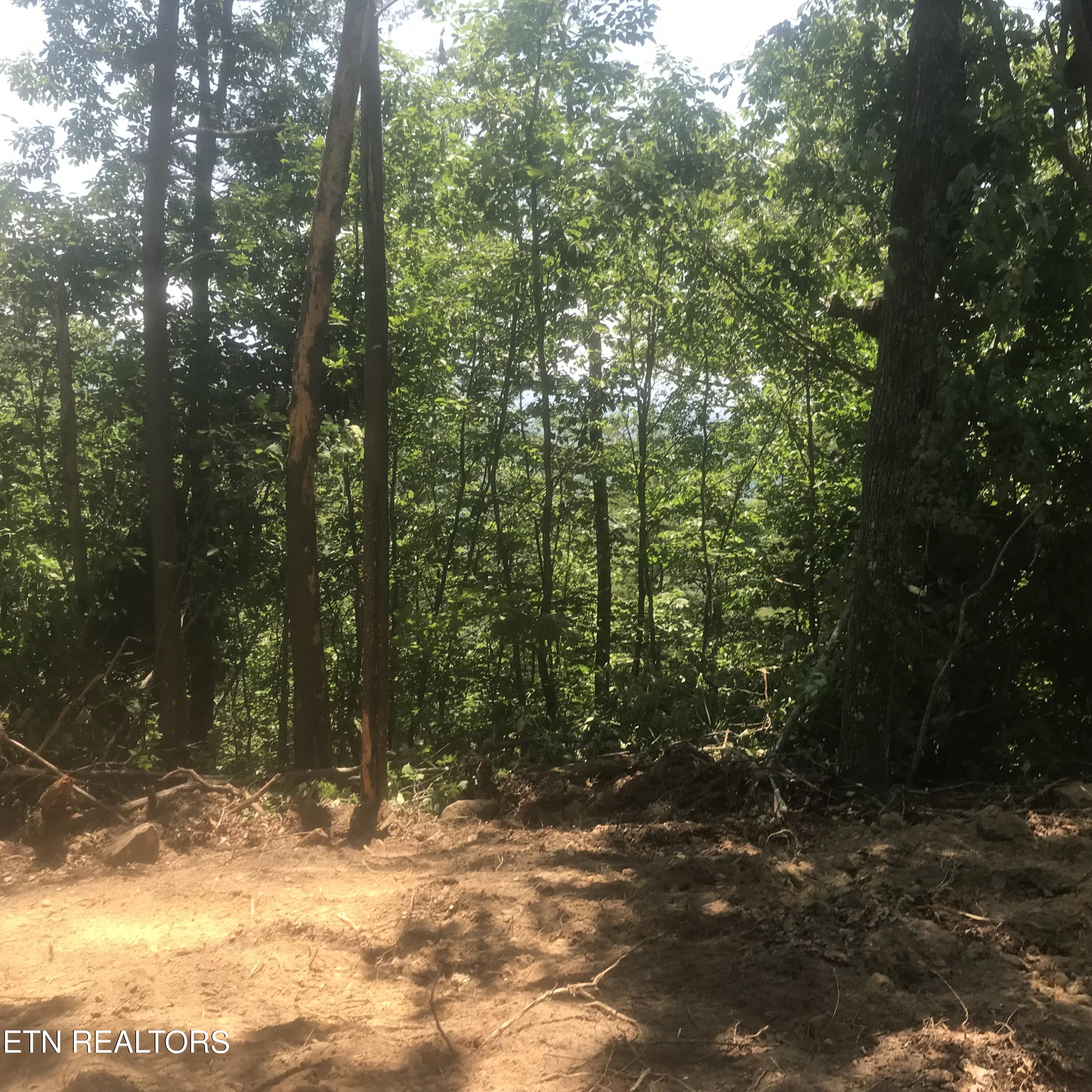 4109 Pearl Valley Rd