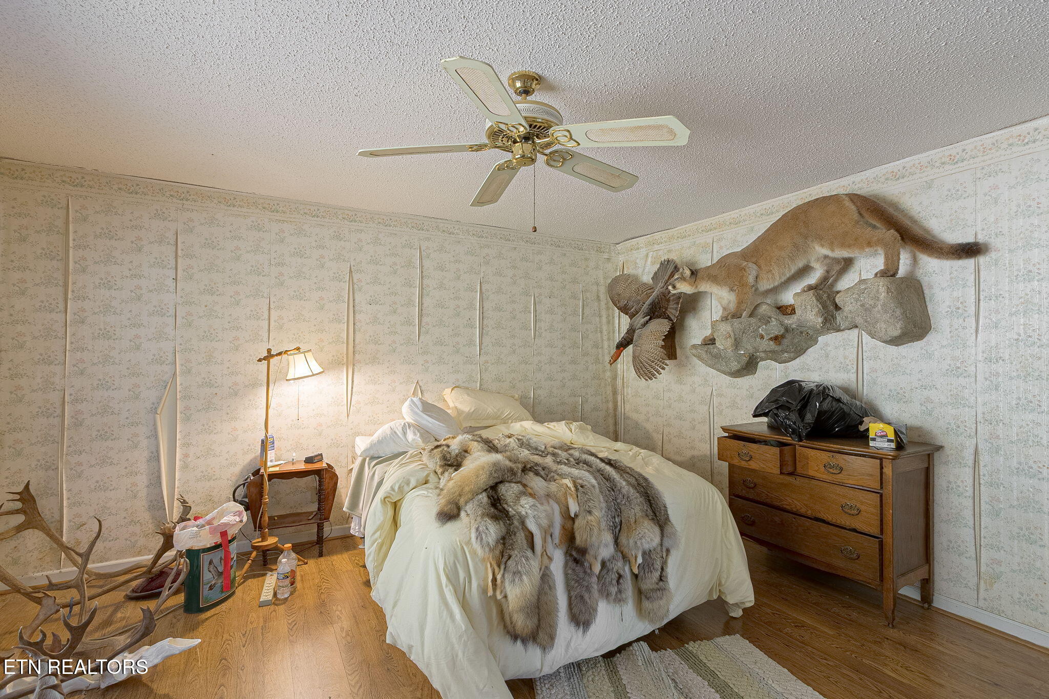 12515 Yarnell Rd, Knoxville