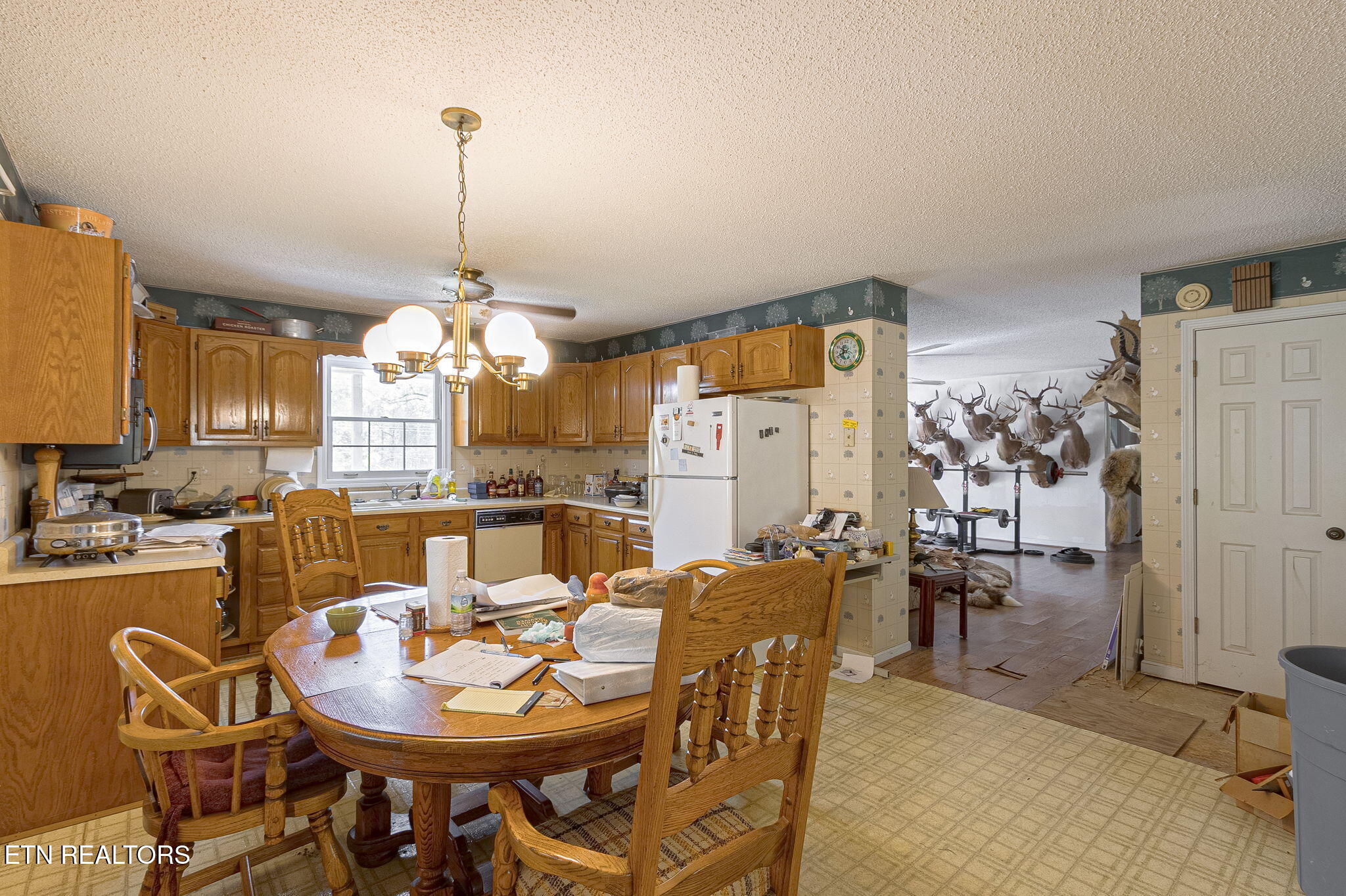 12515 Yarnell Rd, Knoxville