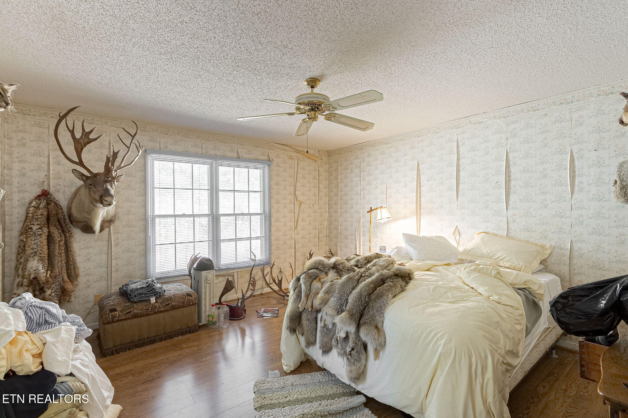 12515 Yarnell Rd, Knoxville