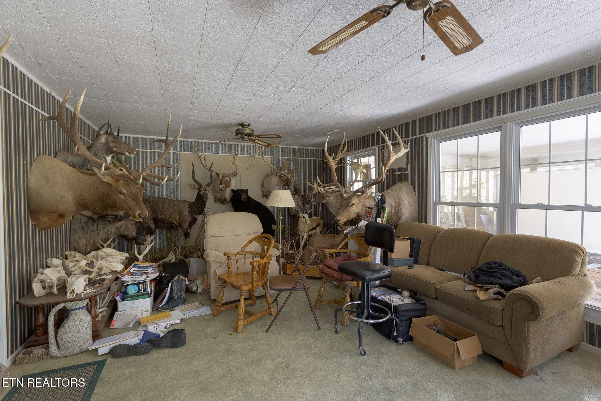 12515 Yarnell Rd, Knoxville