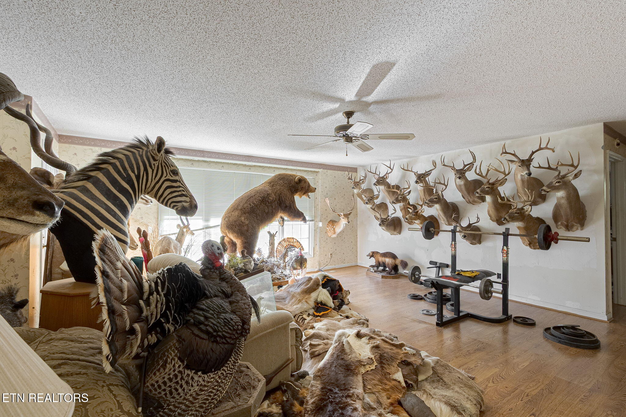 12515 Yarnell Rd, Knoxville