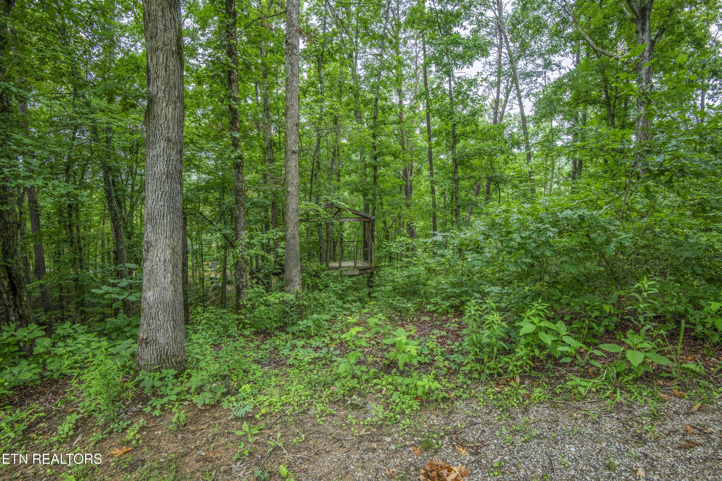 123 Southlake Drive