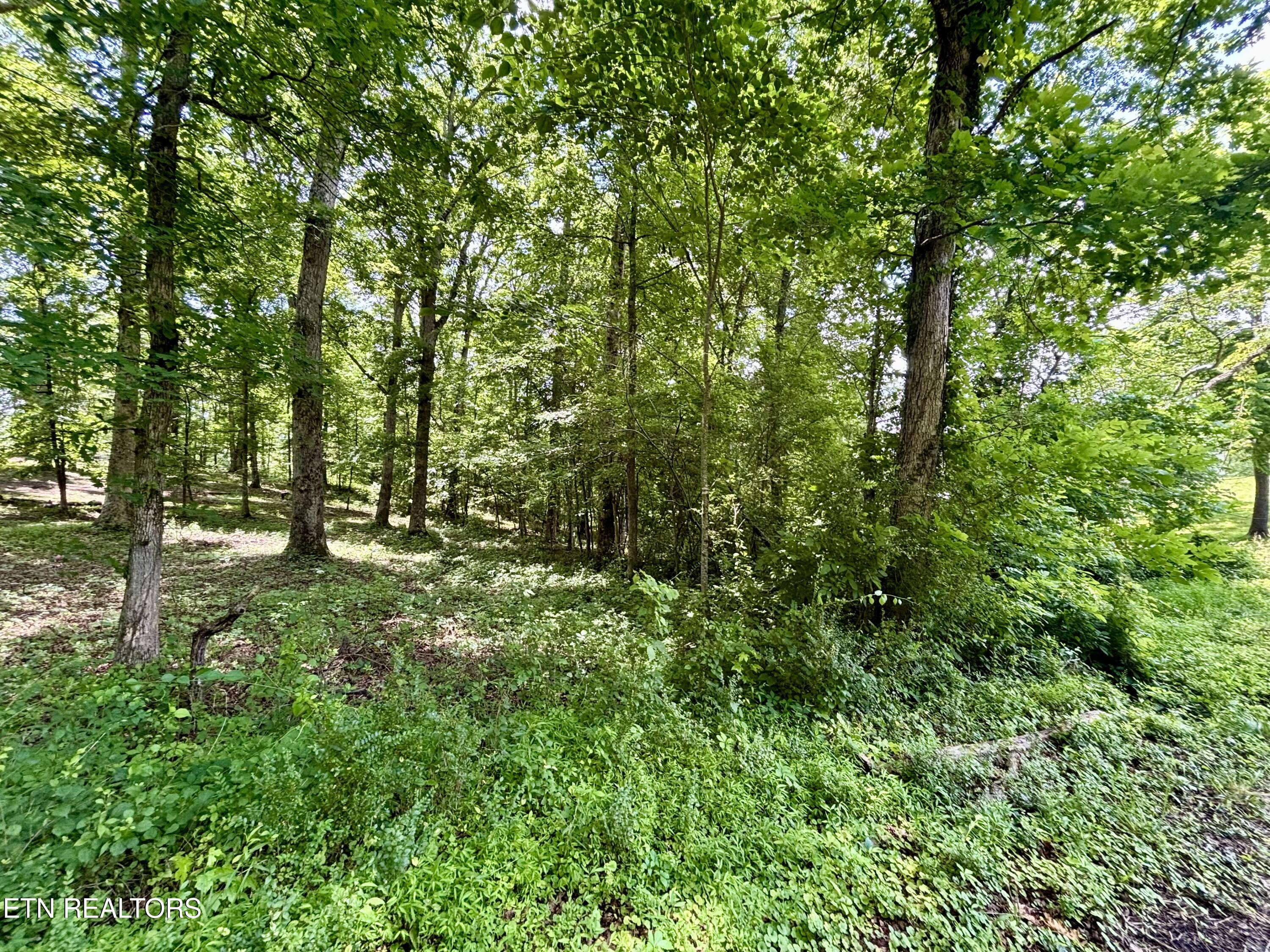 0 Rolling Acres Drive
