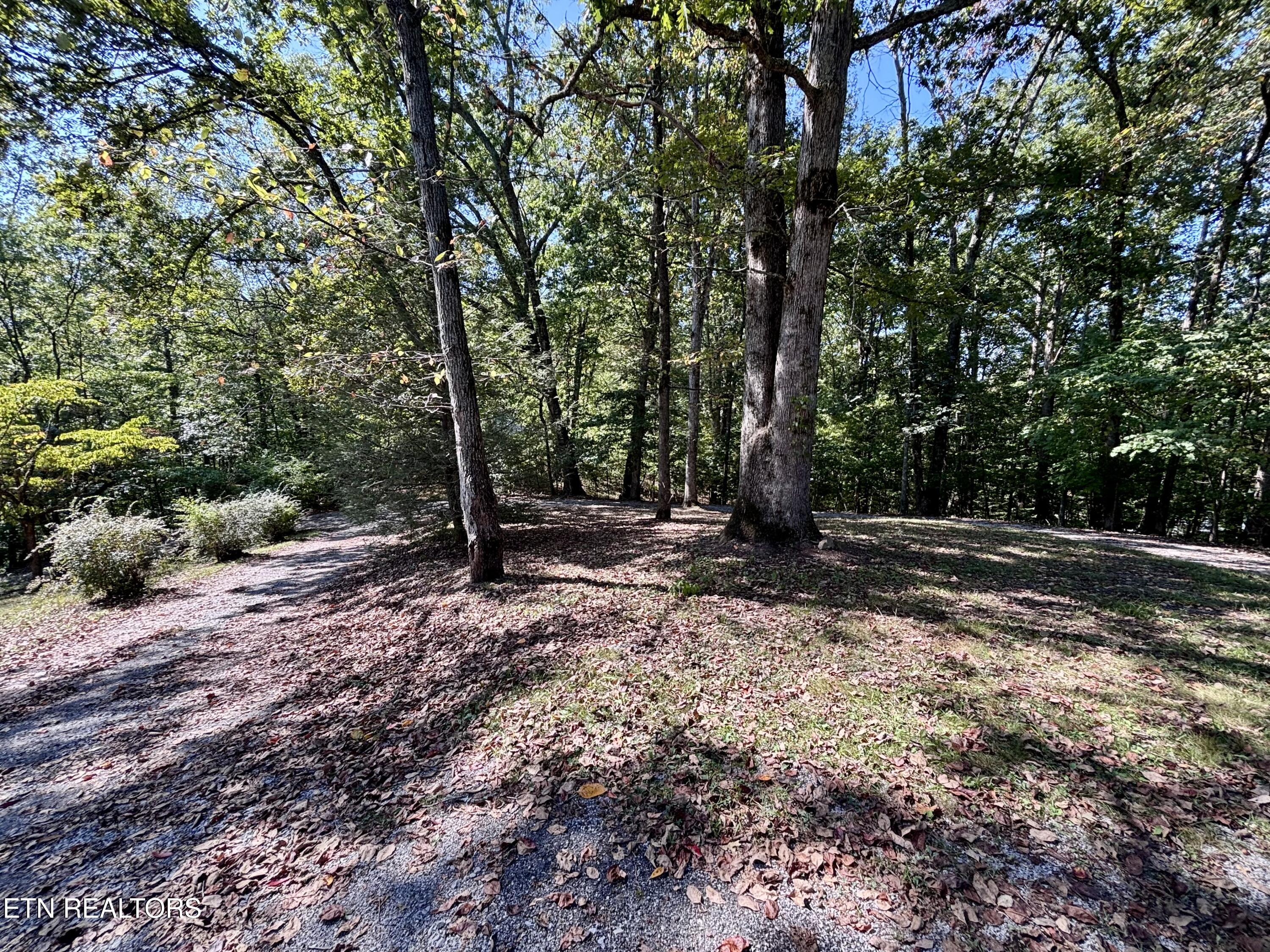 145 Scott Rd