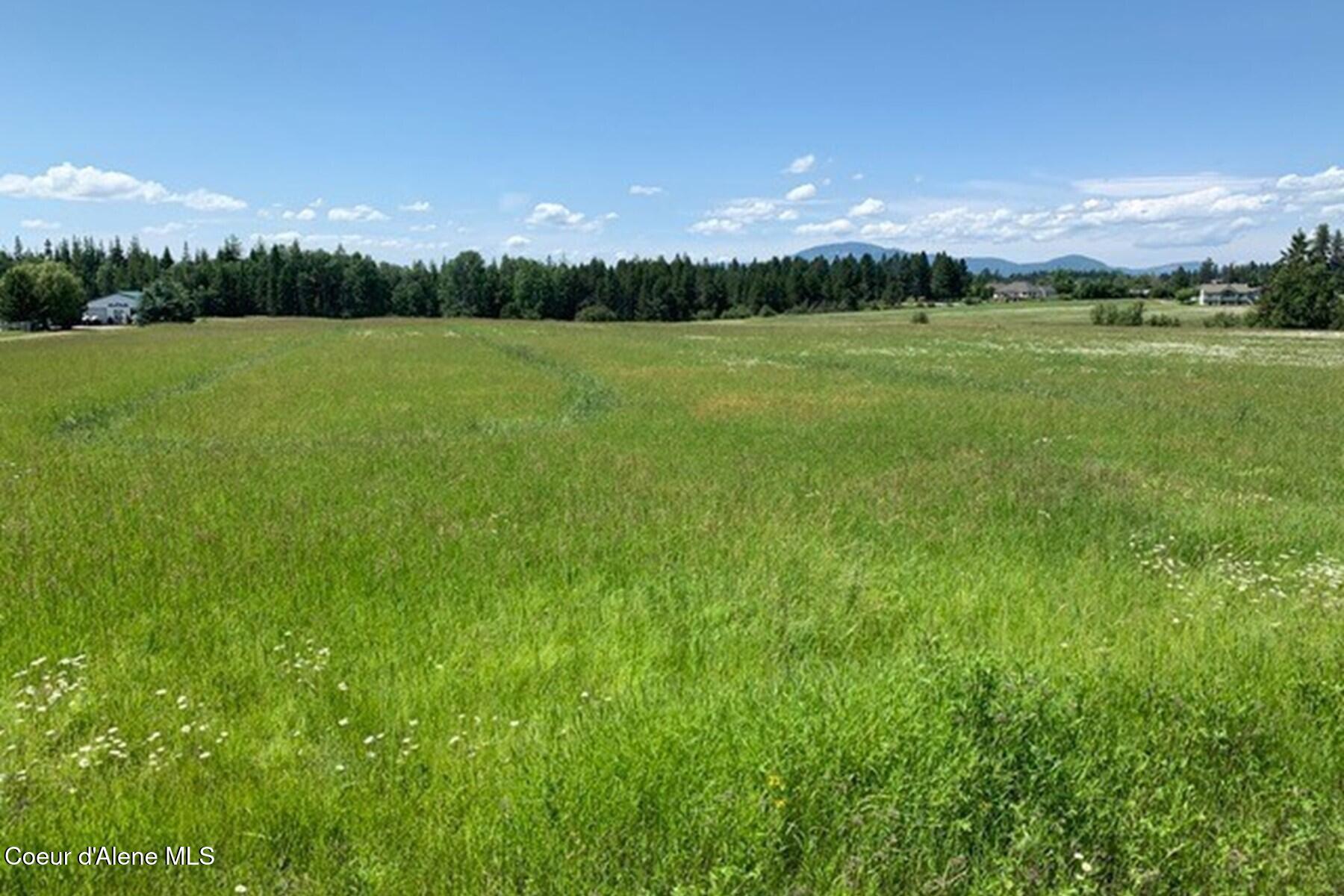 12399 N Meadow Wood Ln