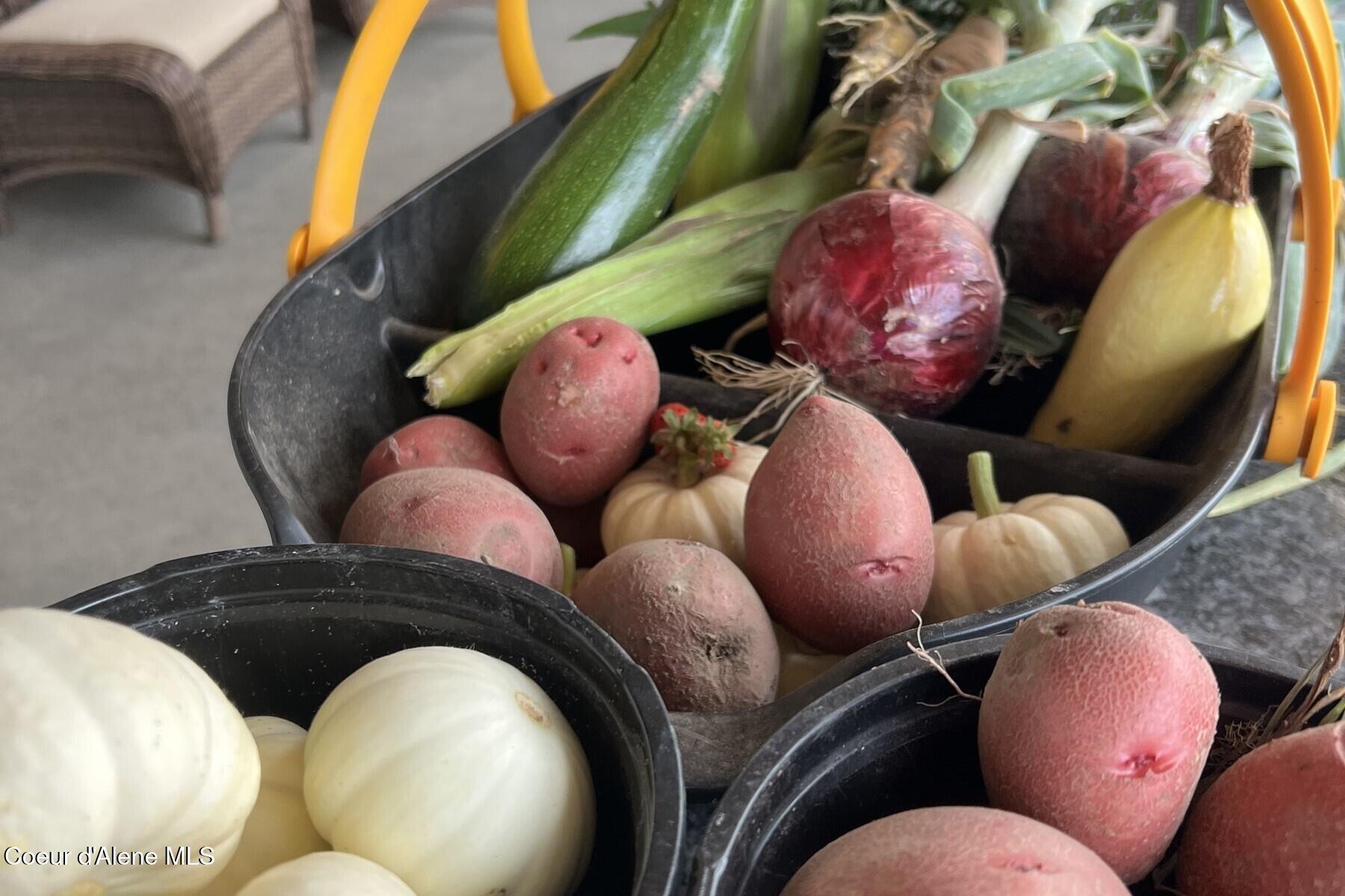 12399 N Meadow Wood Ln