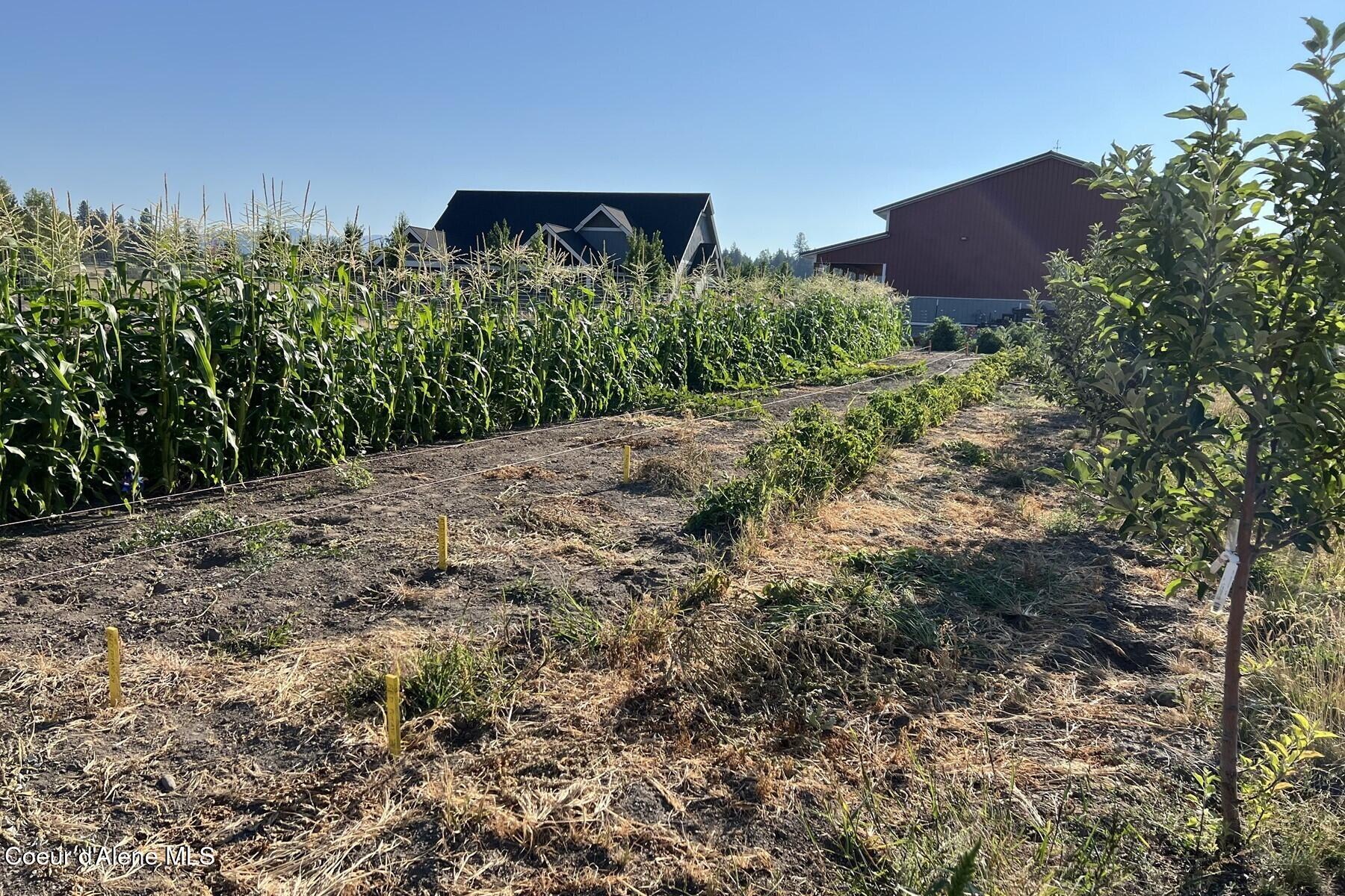 12399 N Meadow Wood Ln