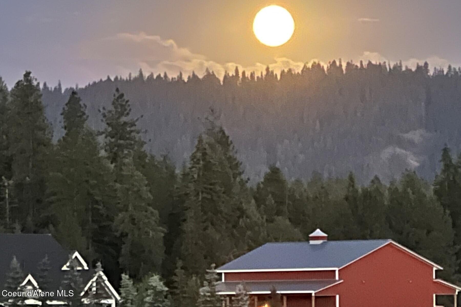 12399 N Meadow Wood Ln