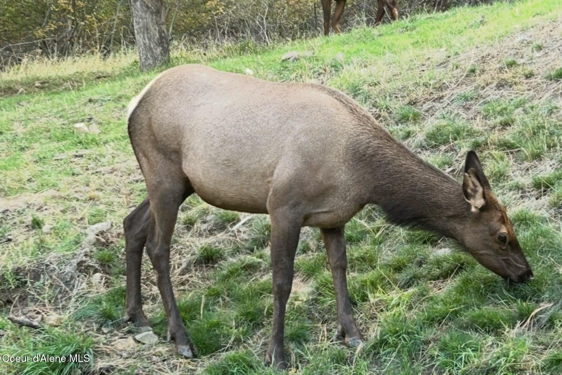 2406 S Silver Beach Rd, Coeur d'Alene