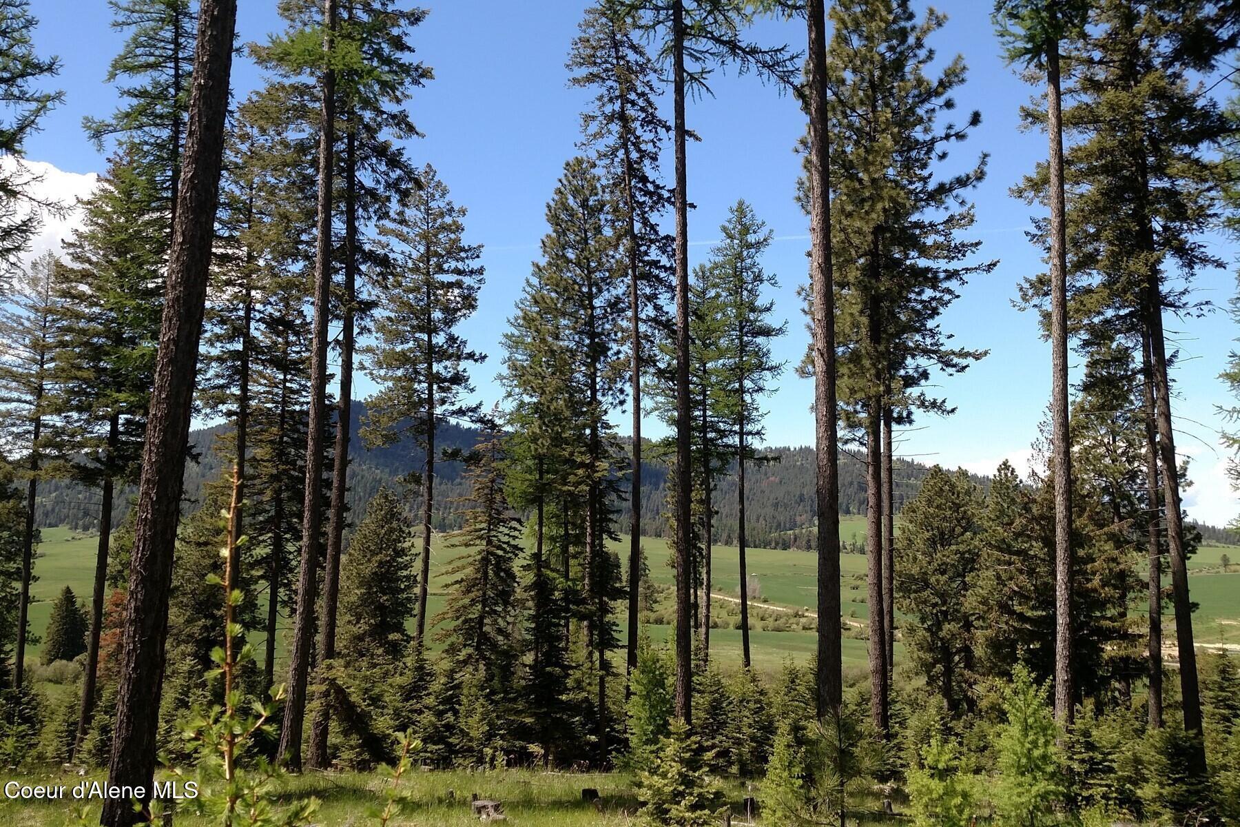 337 W Coon Creek Road