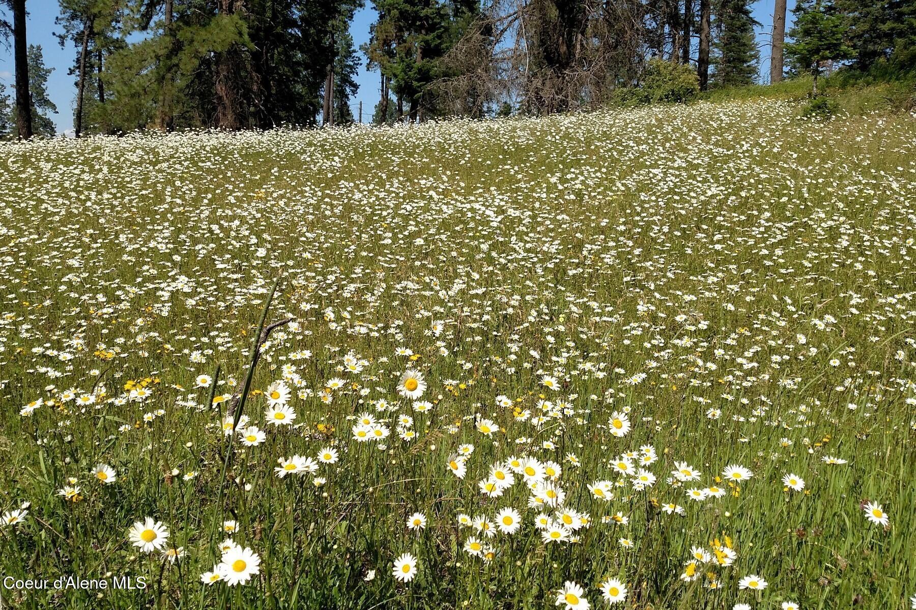 337 W Coon Creek Road