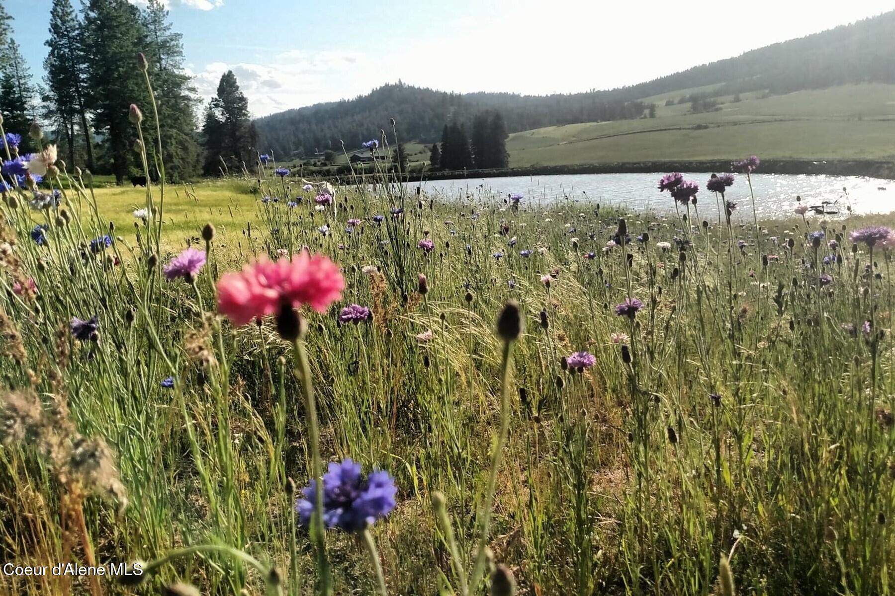 337 W Coon Creek Road