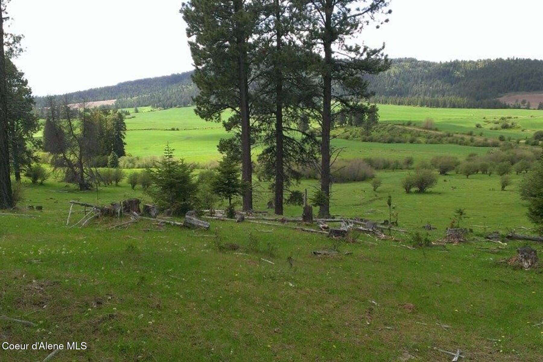 337 W Coon Creek Road