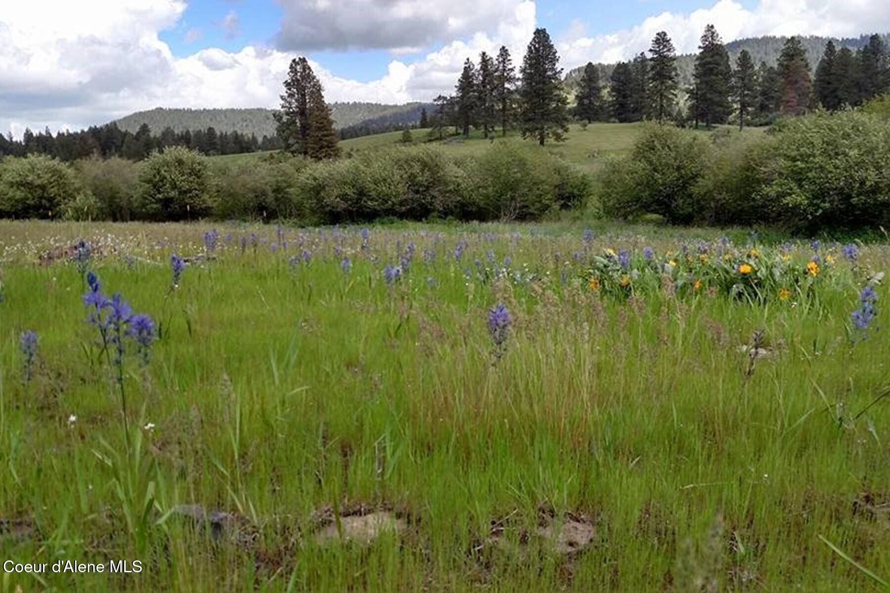 337 W Coon Creek Road