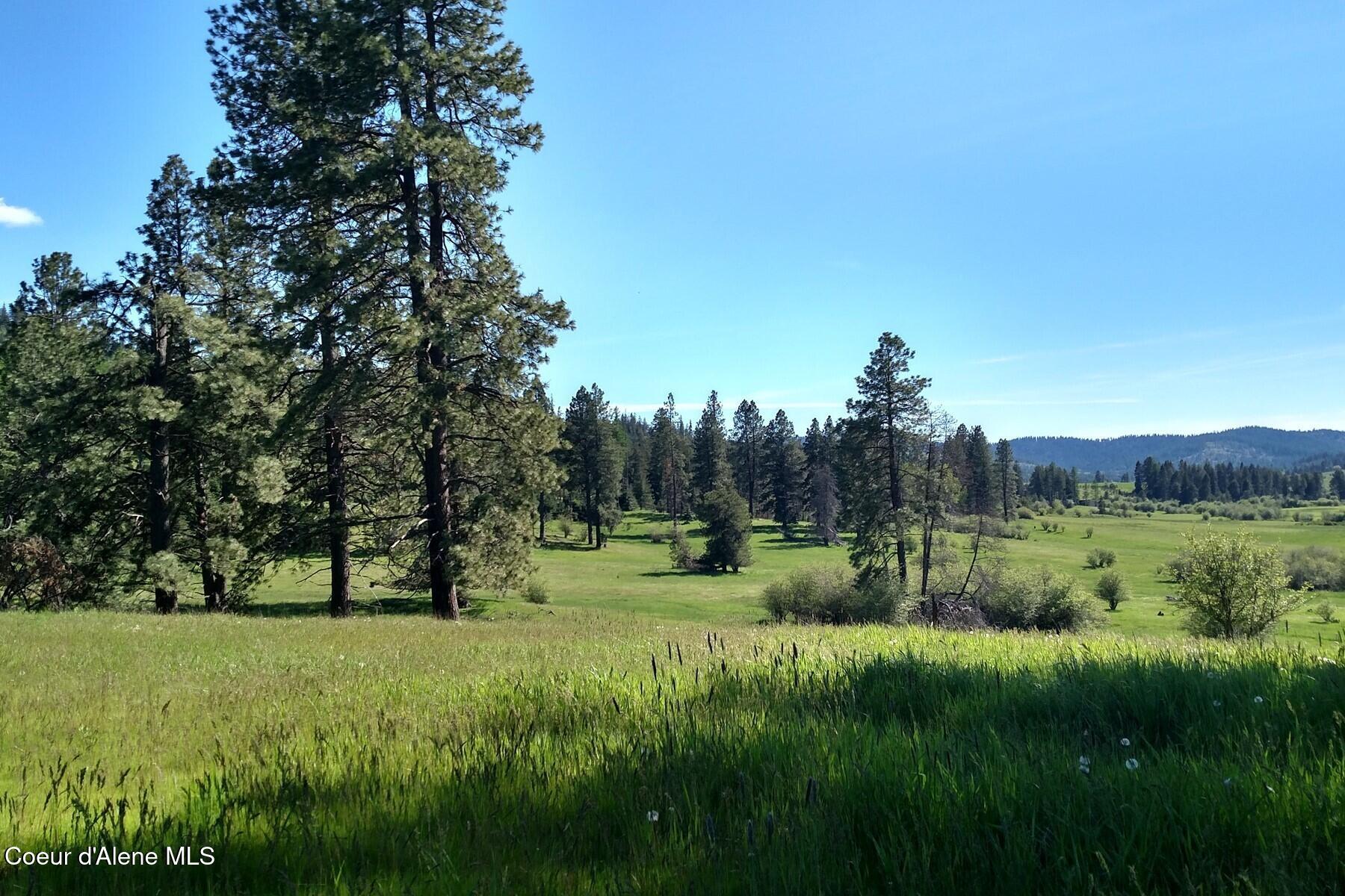 337 W Coon Creek Road