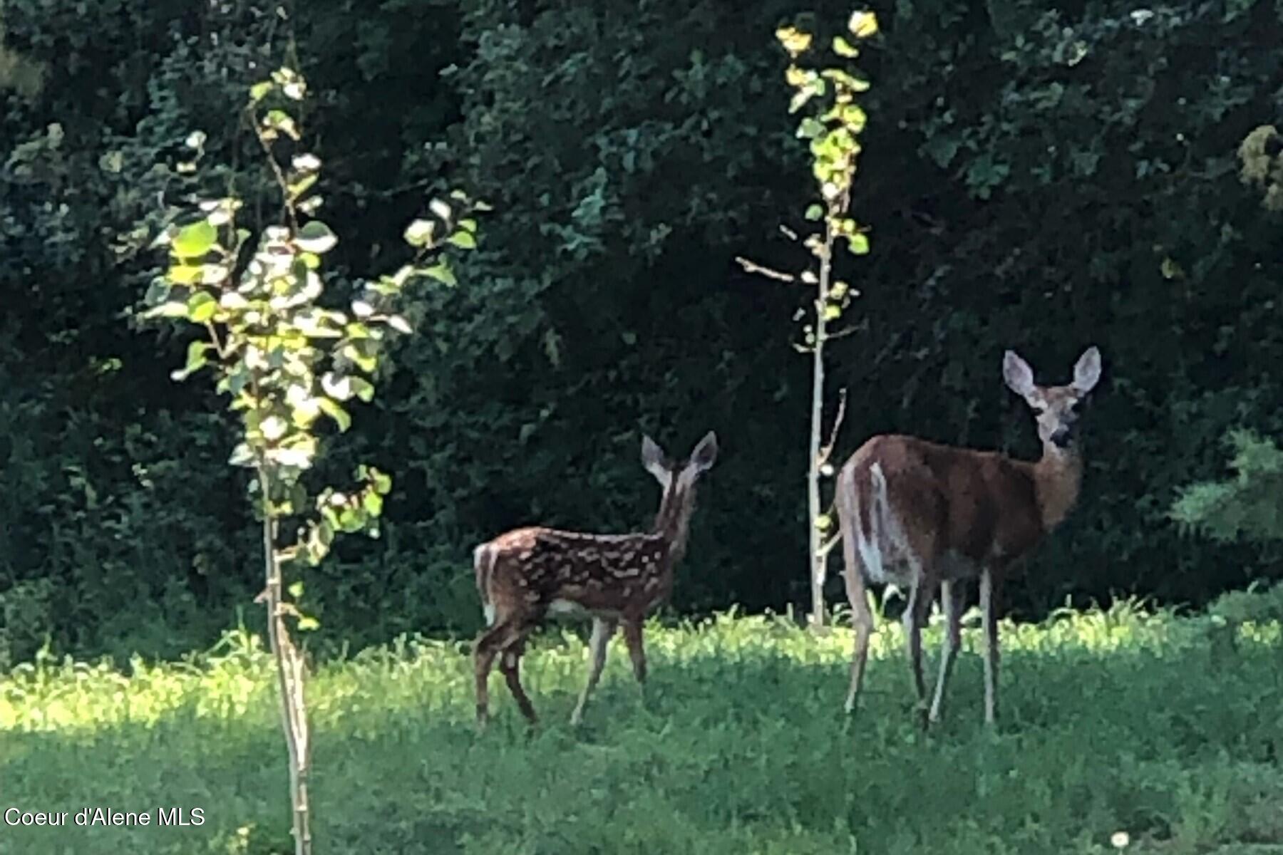 11074 W Riverview Dr