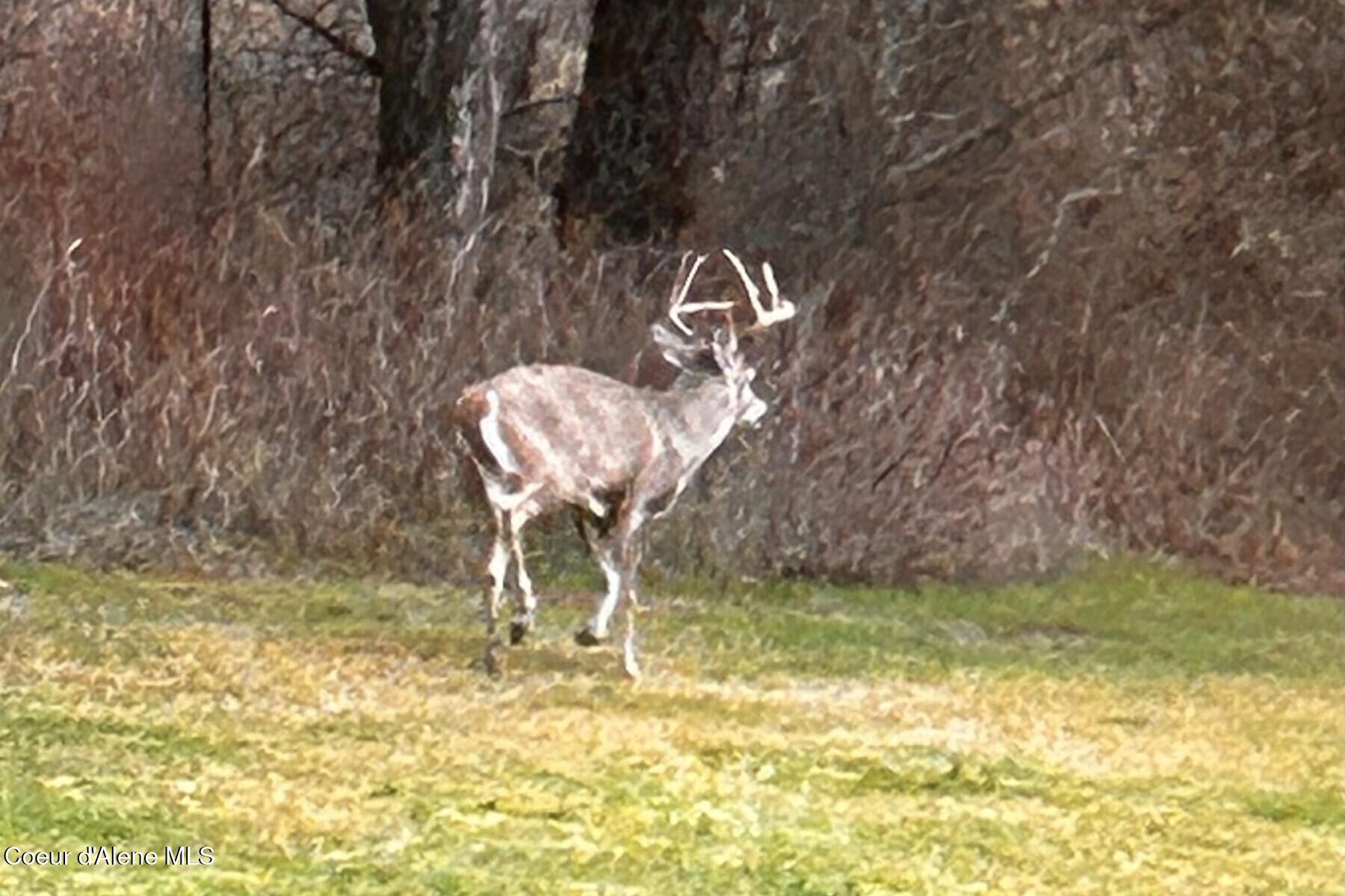 11074 W Riverview Dr