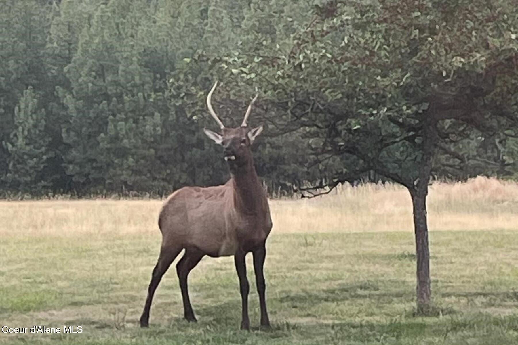 6502 E Highview Dr, Coeur d'Alene