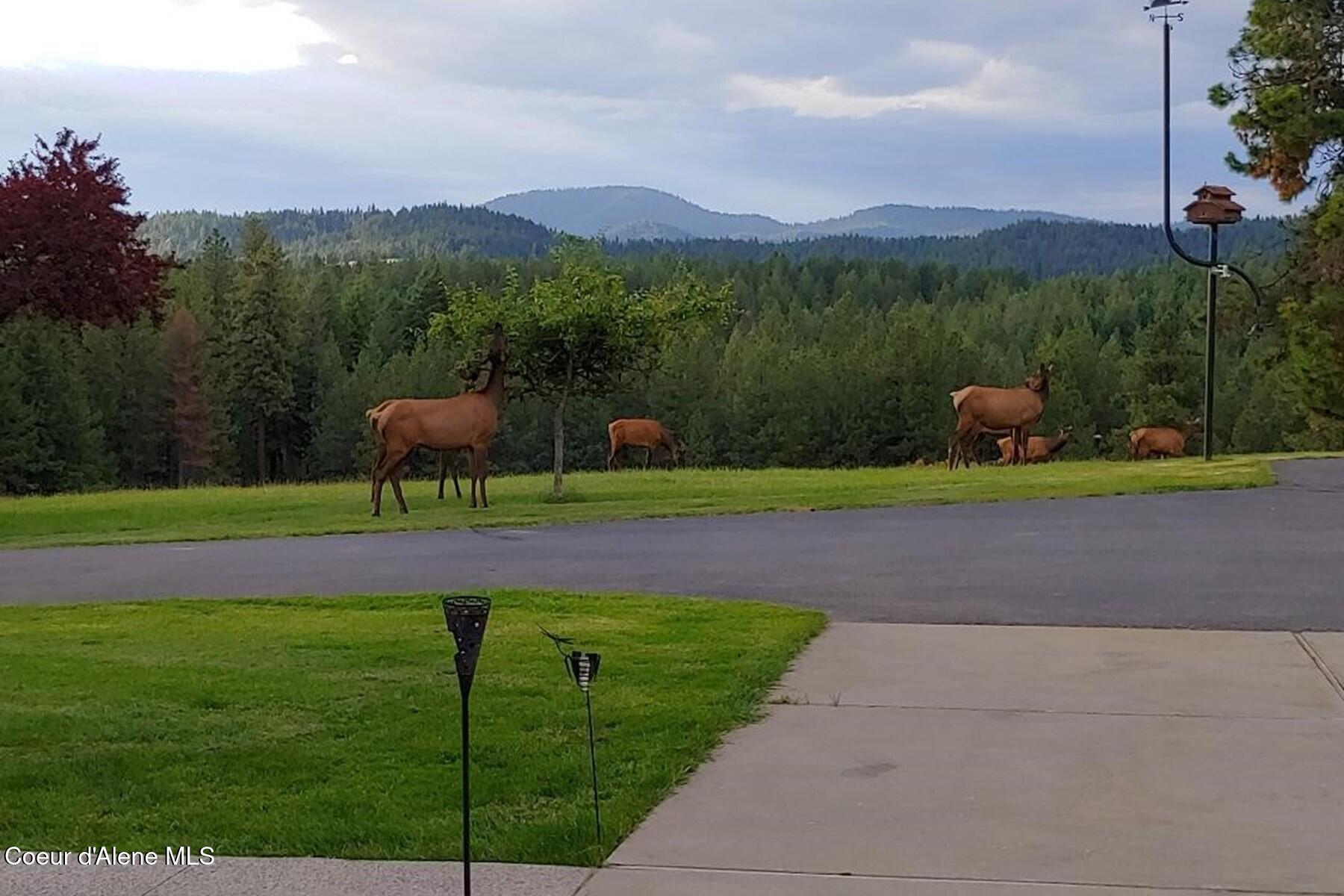 6502 E Highview Dr, Coeur d'Alene