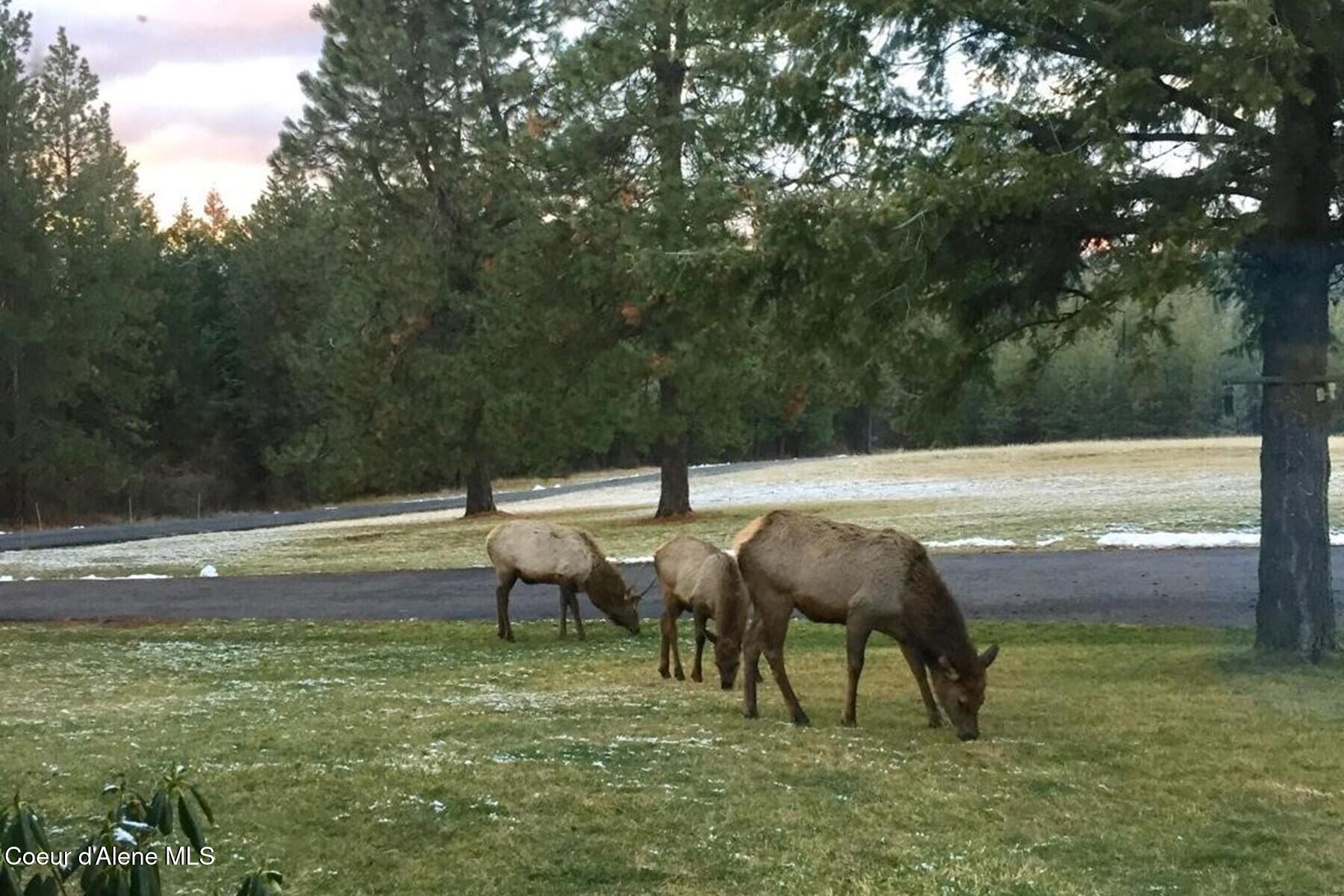 6502 E Highview Dr, Coeur d'Alene