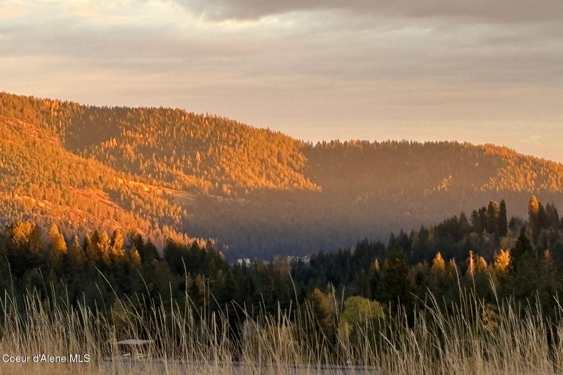 Autumn sunlight falls across forested mountain ridges above a hazy valley.
