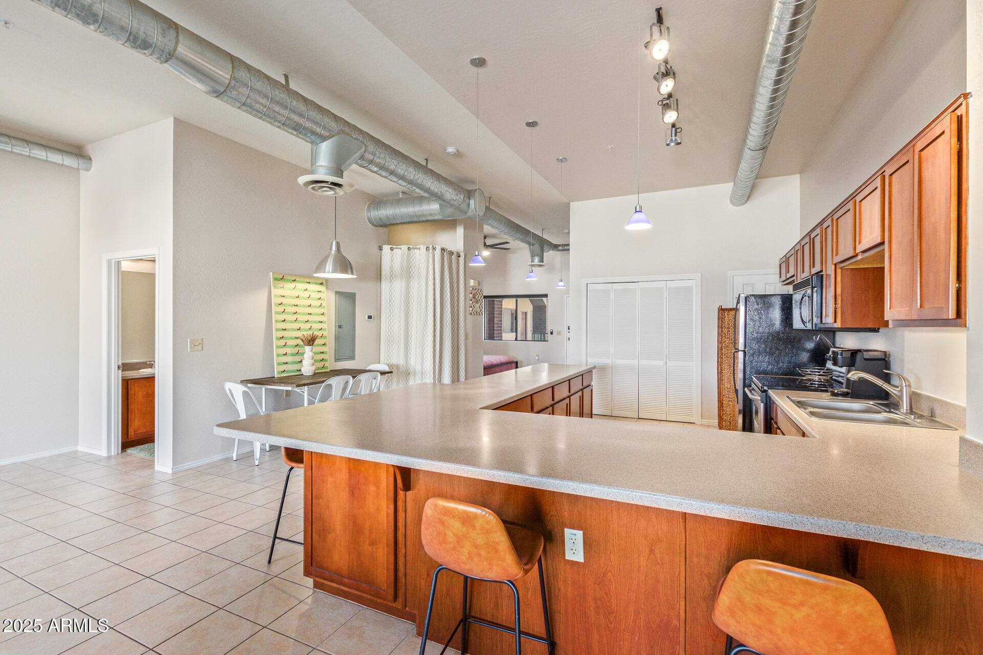 424 S 2ND Street, 203