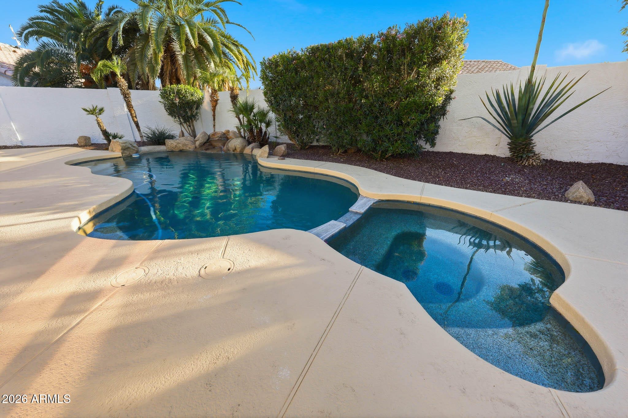 Curved backyard pool and attached spa bordered by palms and desert landscaping.
