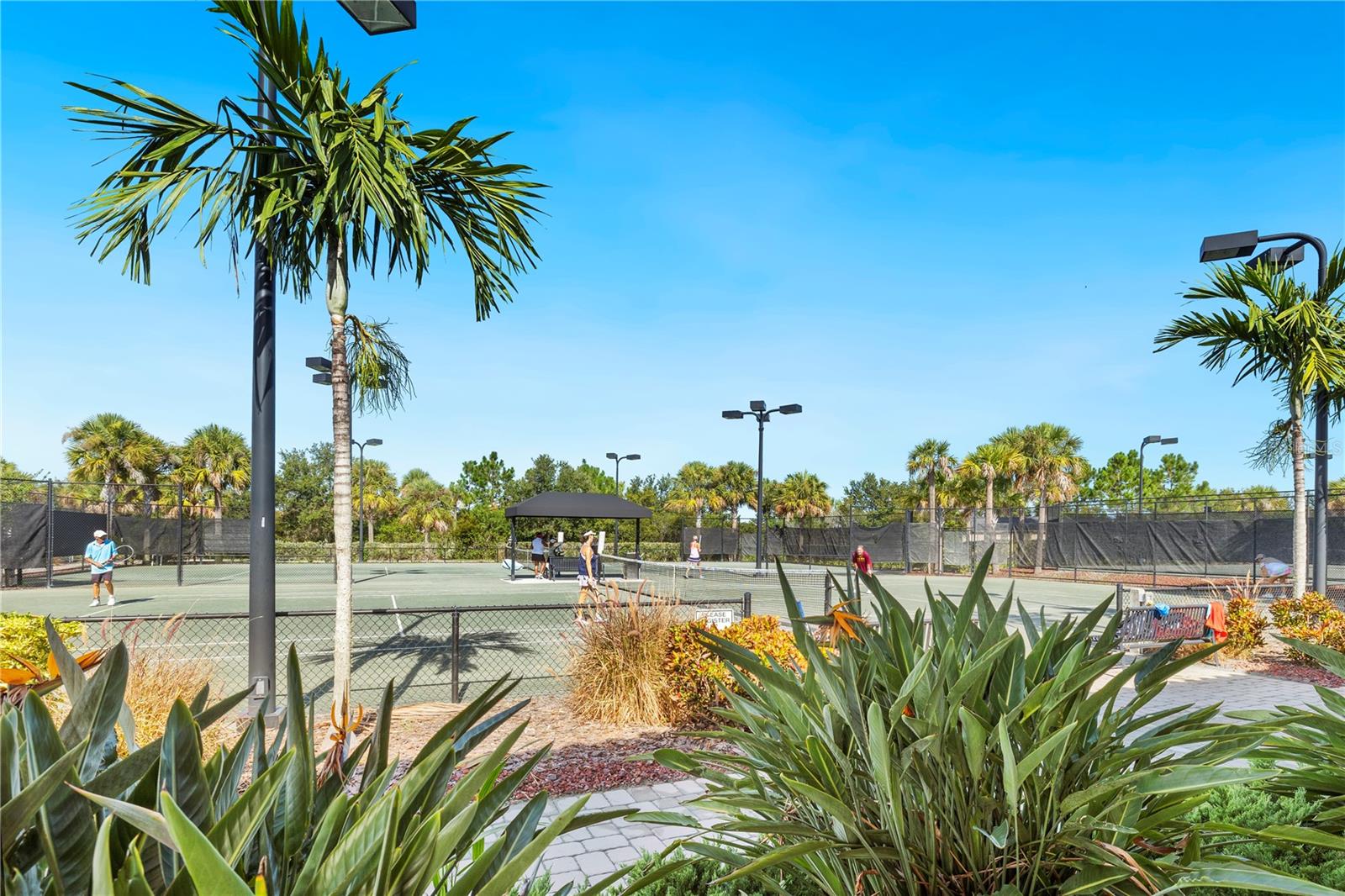 12740 DEL CORSO LOOP