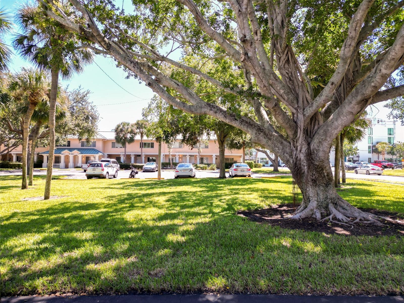 606 COHEN WAY