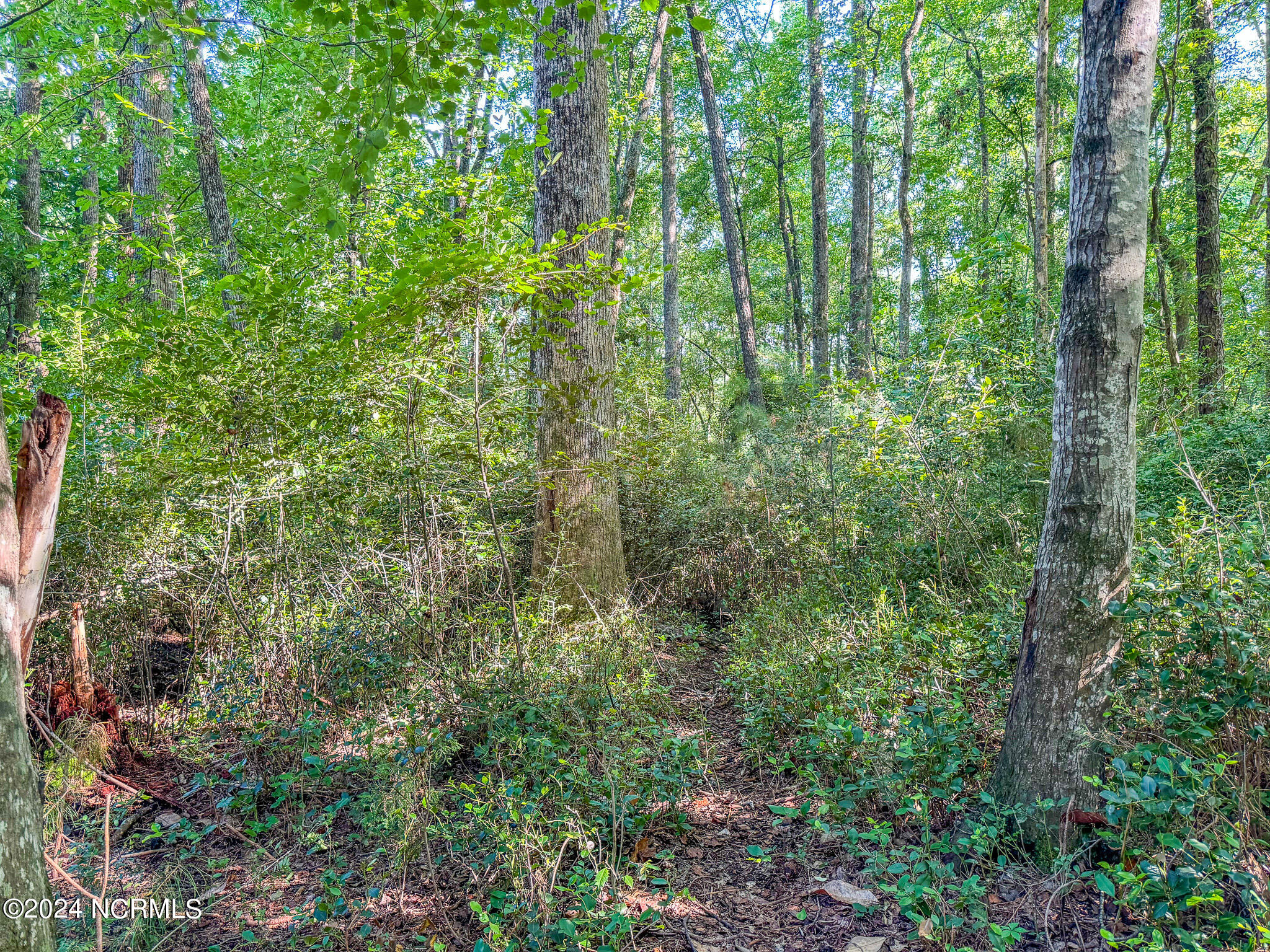 50 Lakewood Drive