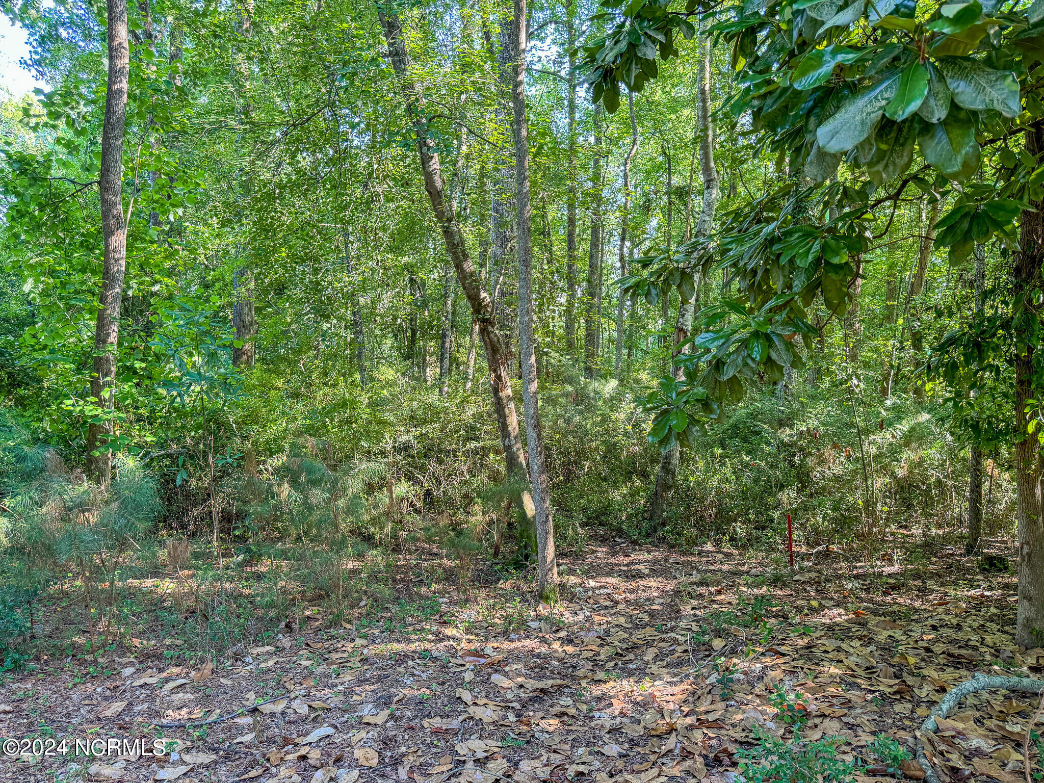 50 Lakewood Drive