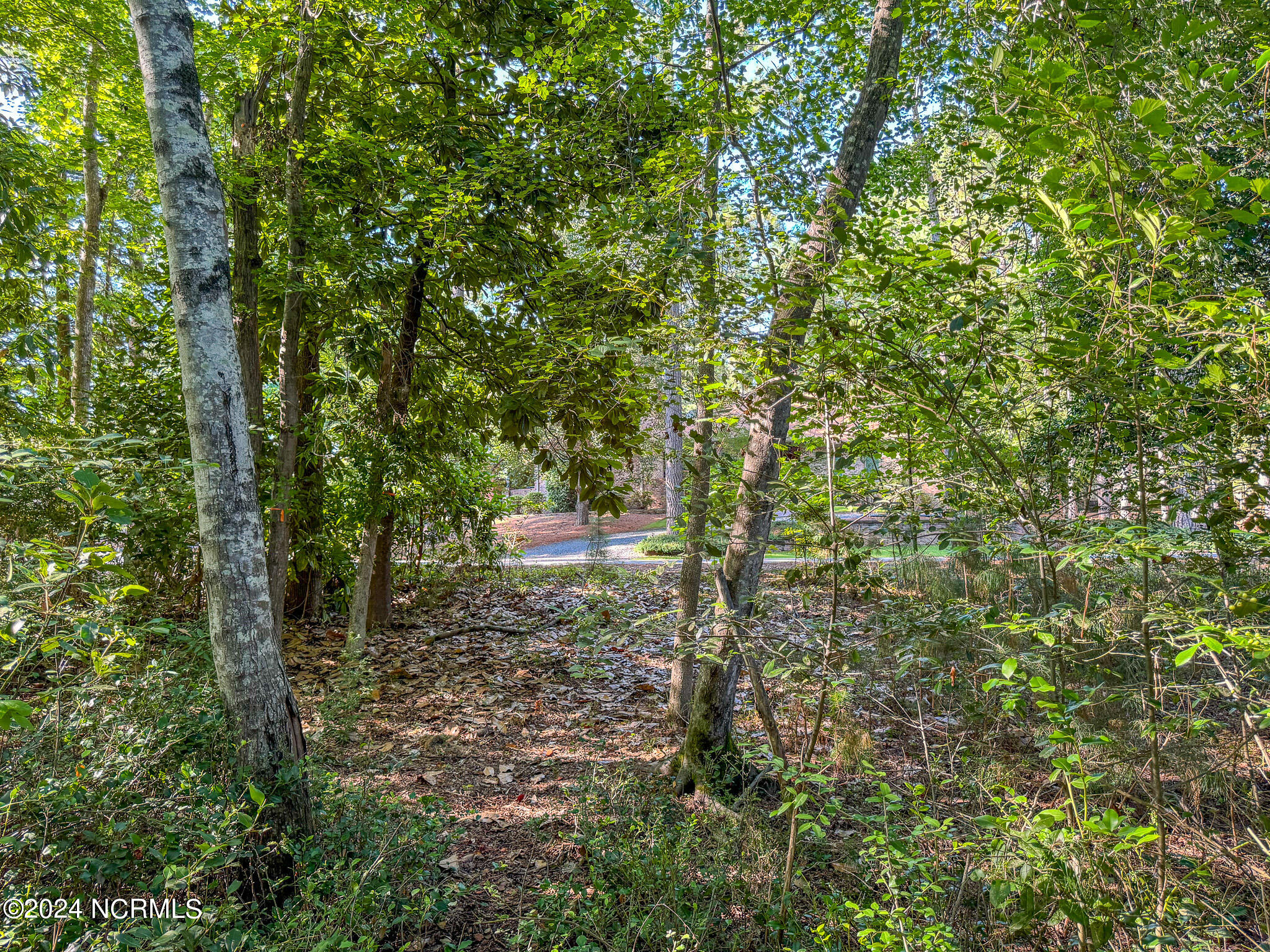 50 Lakewood Drive