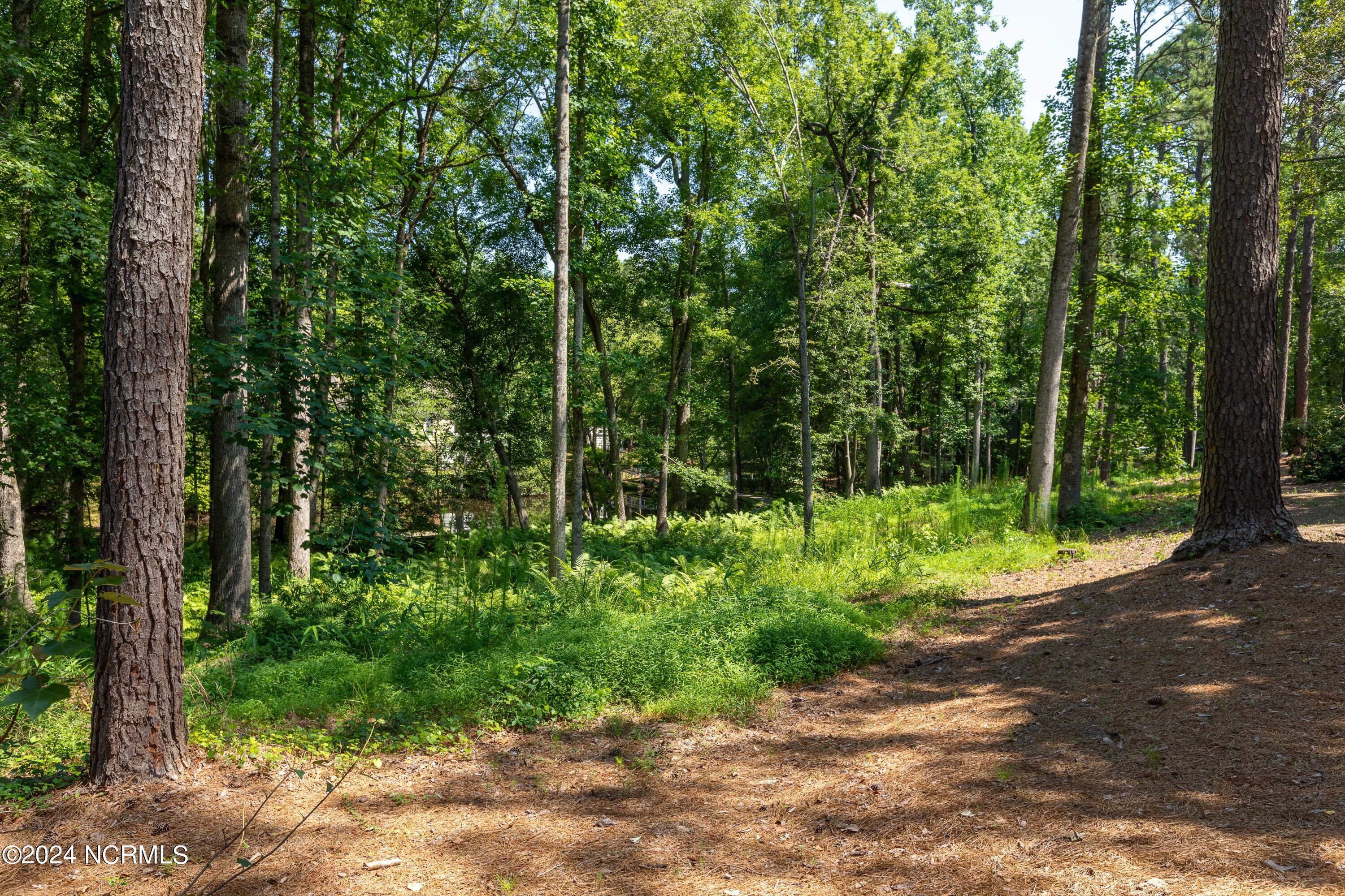 19 Village In The Woods Circle