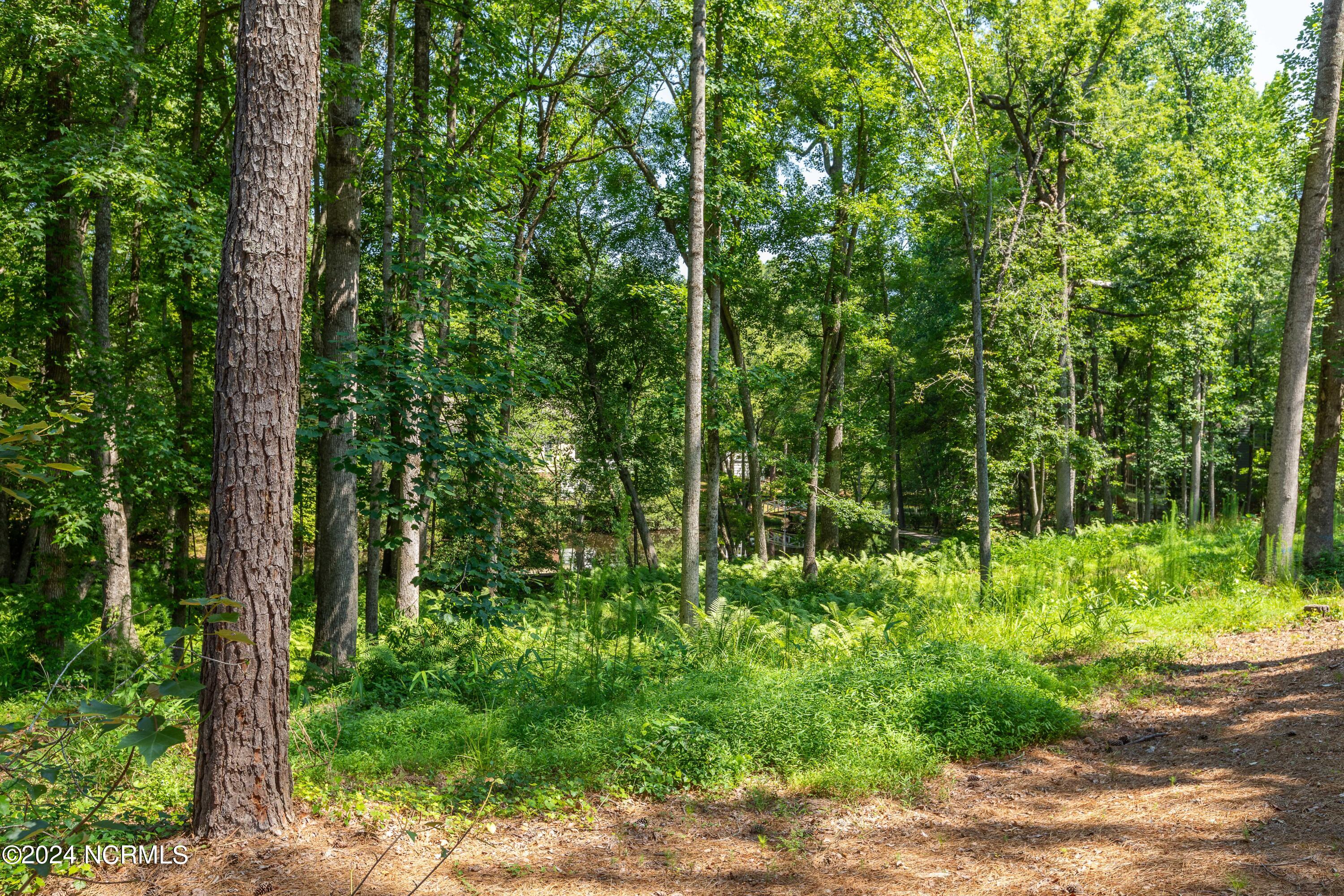 19 Village In The Woods Circle
