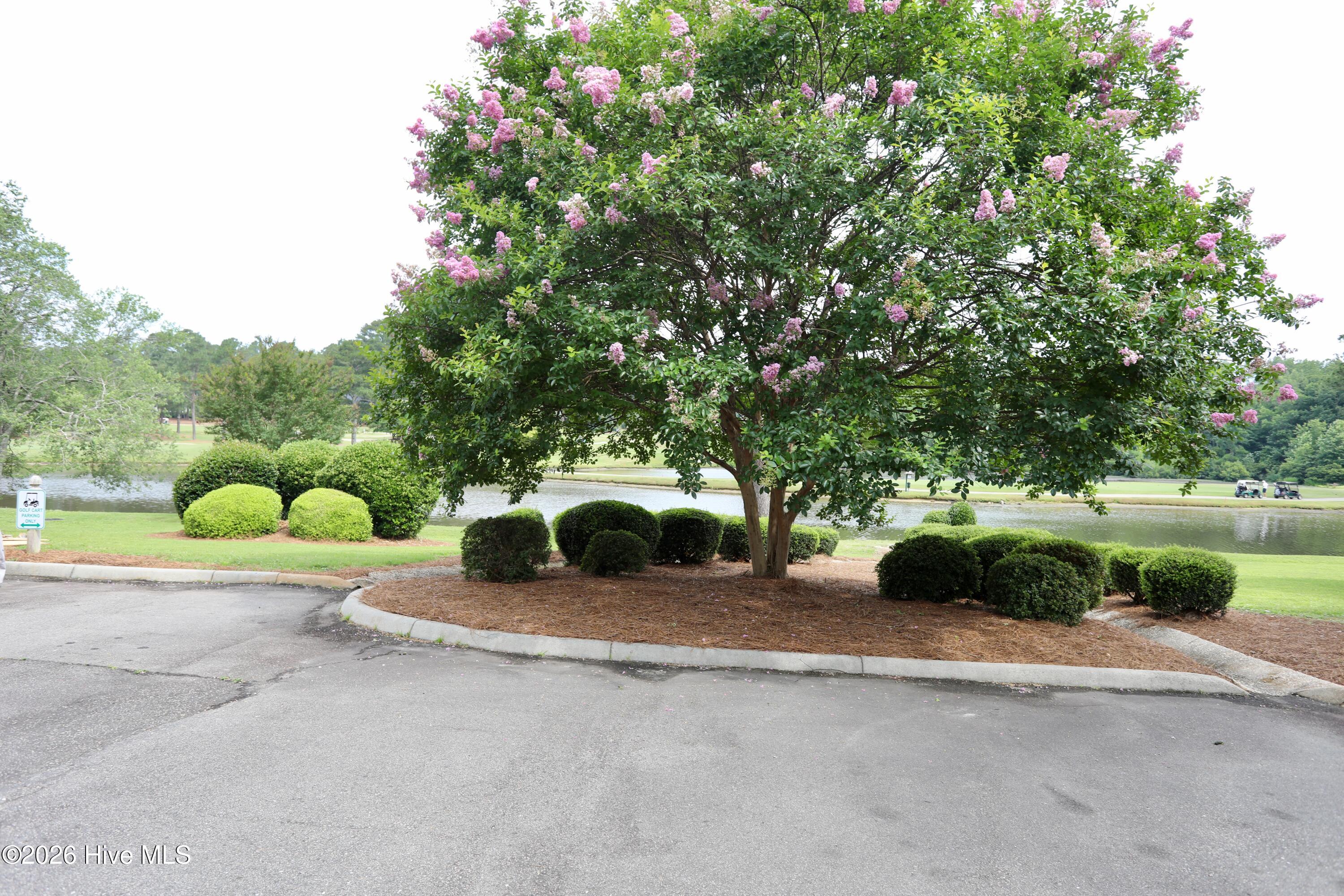 1175 Saint Andrews Drive # 202