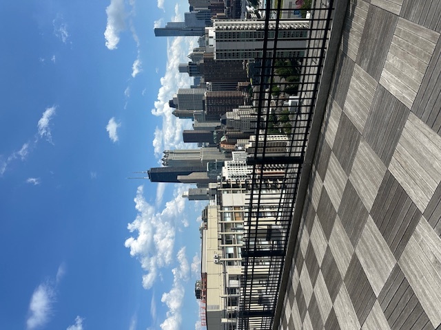 1360 N Sandburg Terrace Unit: 2605C