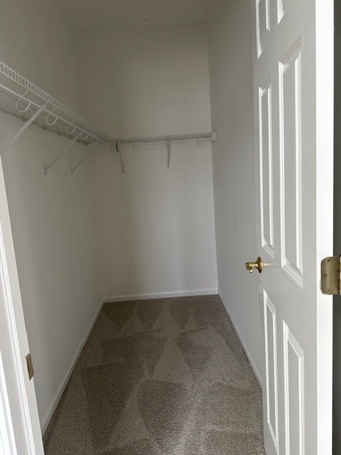 1250 S Falcon Drive
