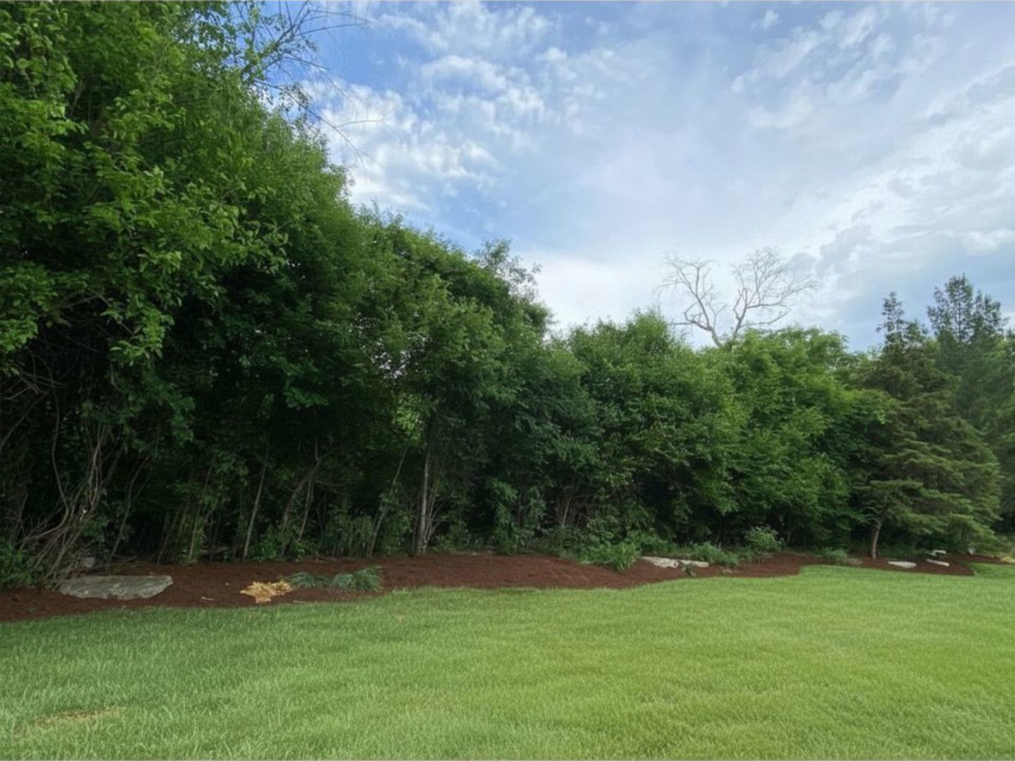 1109 Edwards Drive